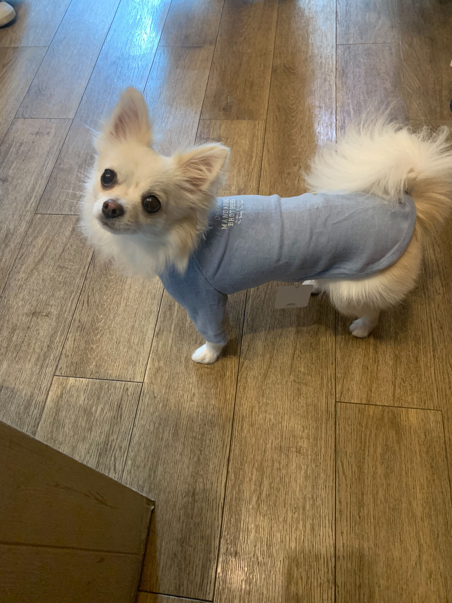 はるくんお久しぶりです🥰