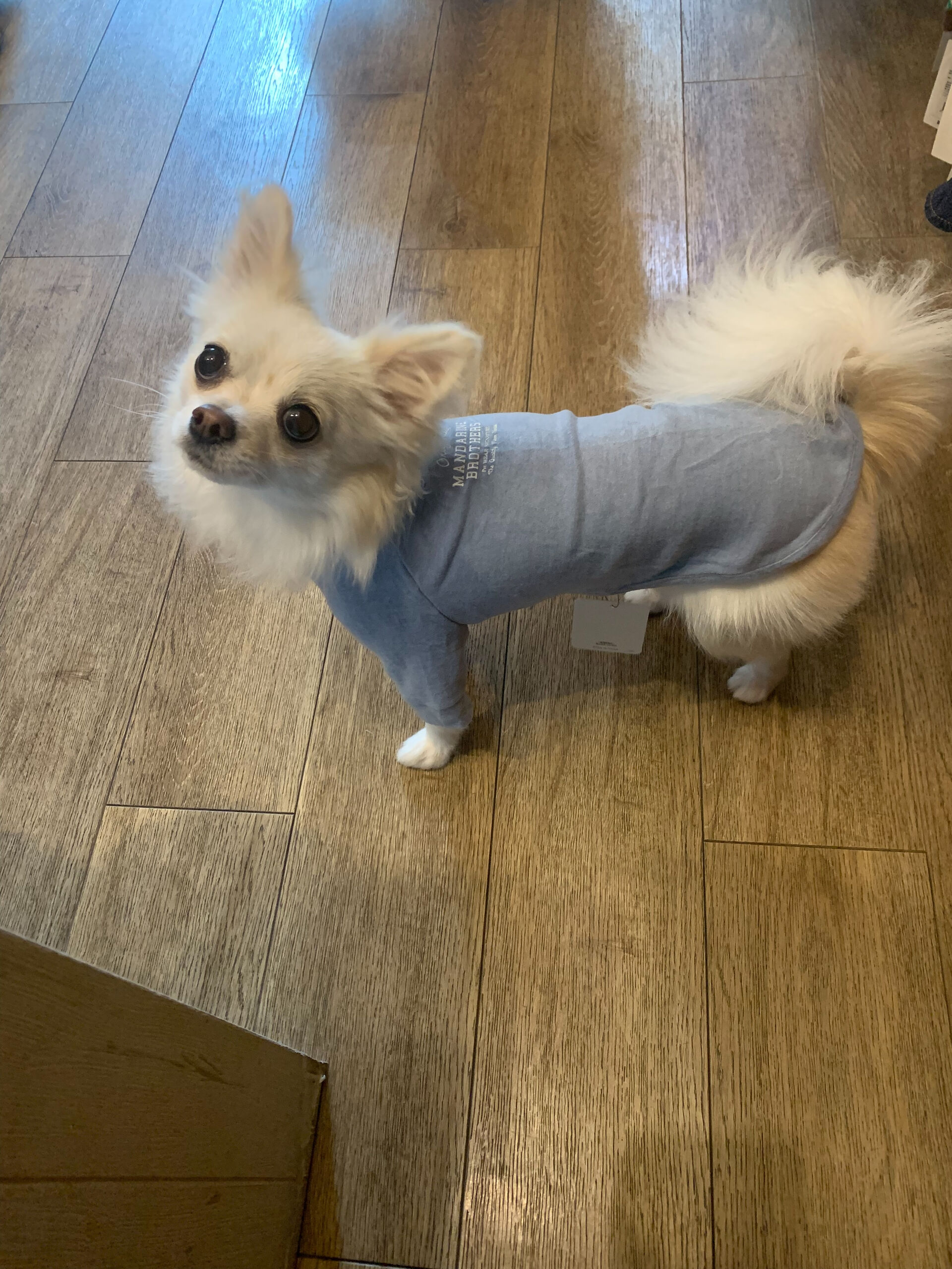 はるくんお久しぶりです🥰