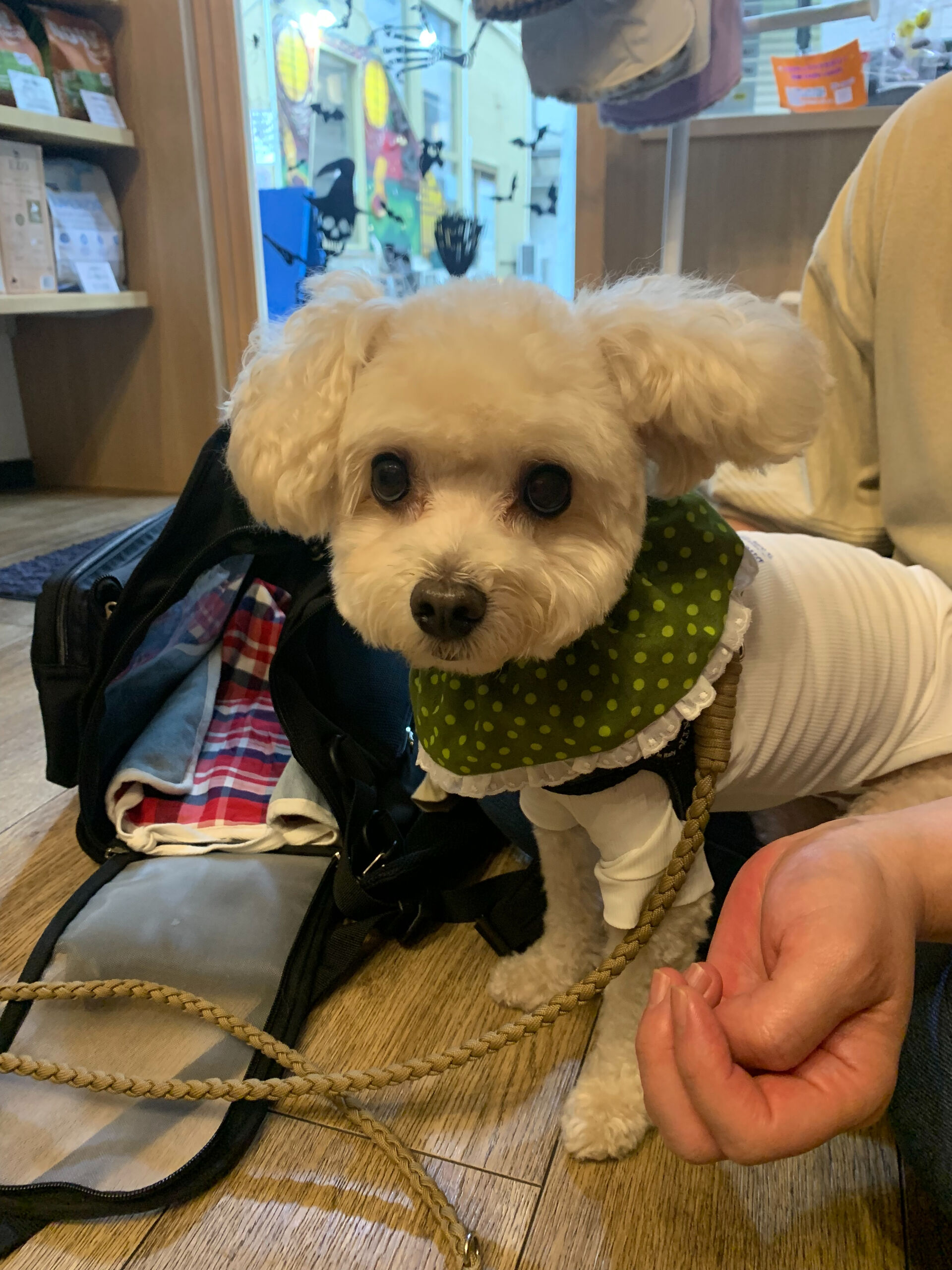 プーマくんご来店ありがとうございます😊