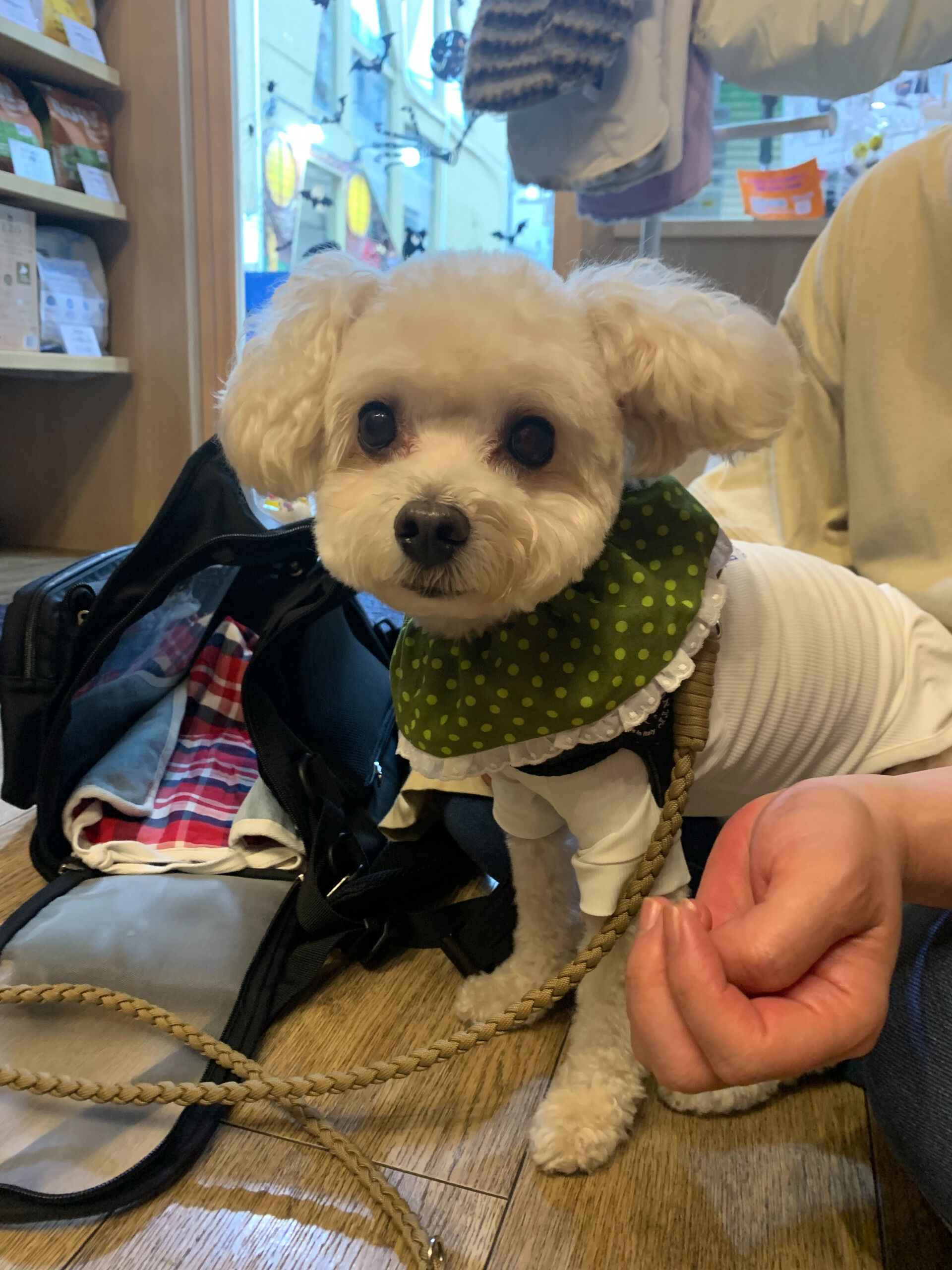 プーマくんご来店ありがとうございます😊
