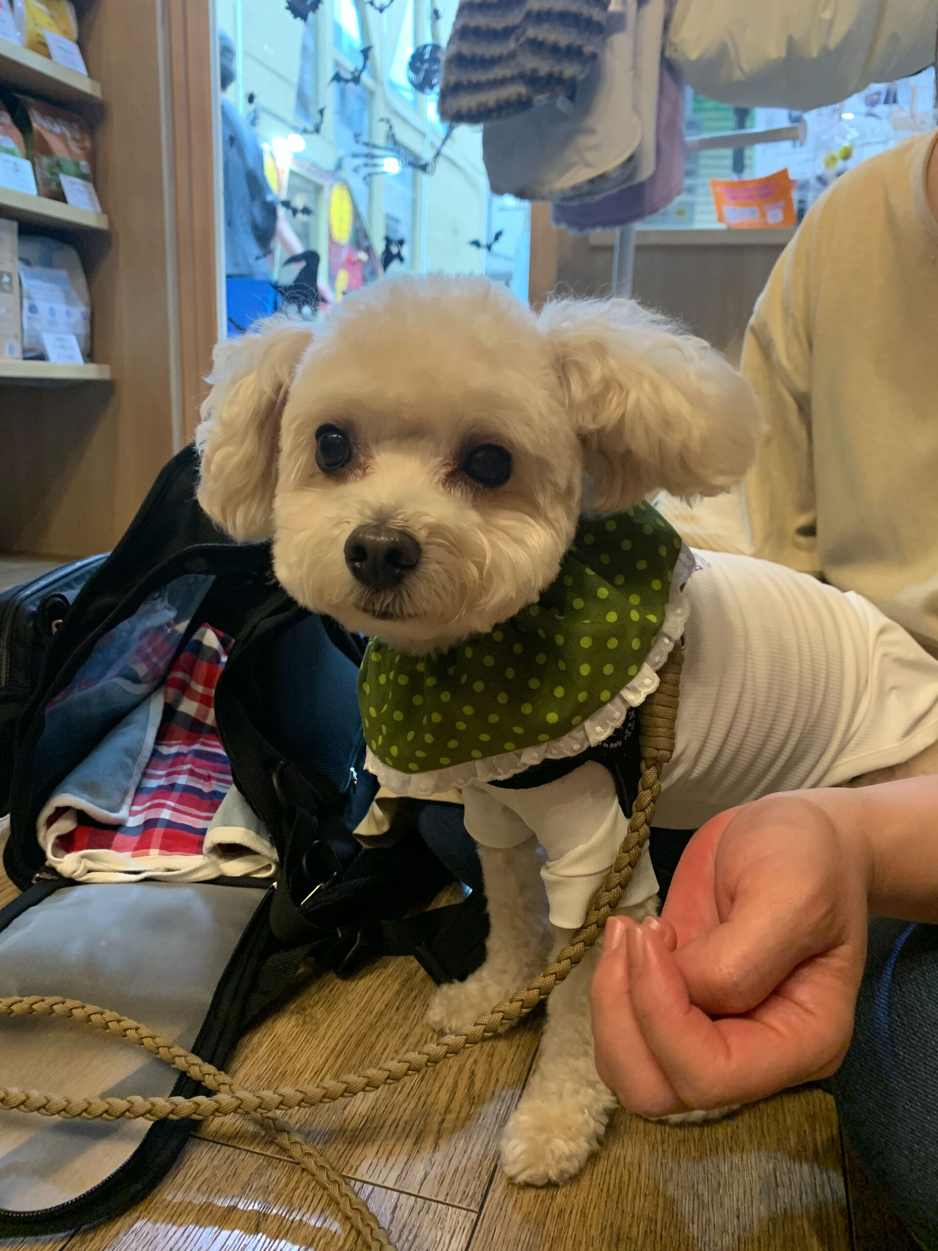 プーマくんご来店ありがとうございます😊