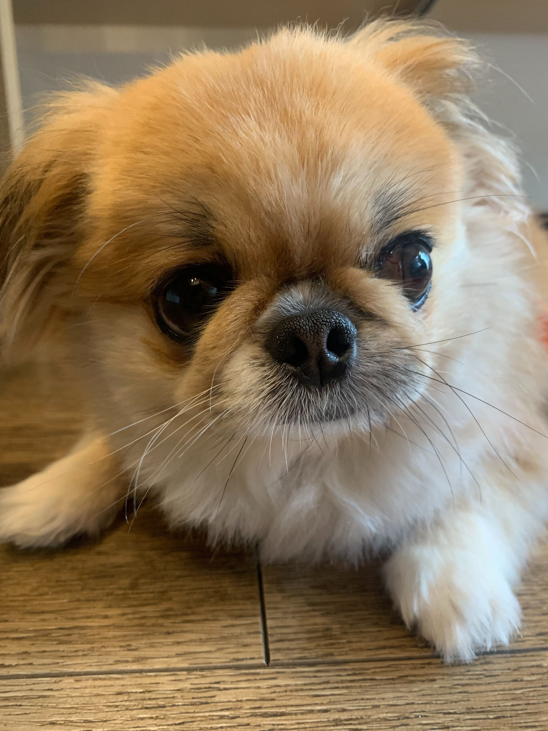 ハルくん、ナツくんご来店ありがとうございます😊