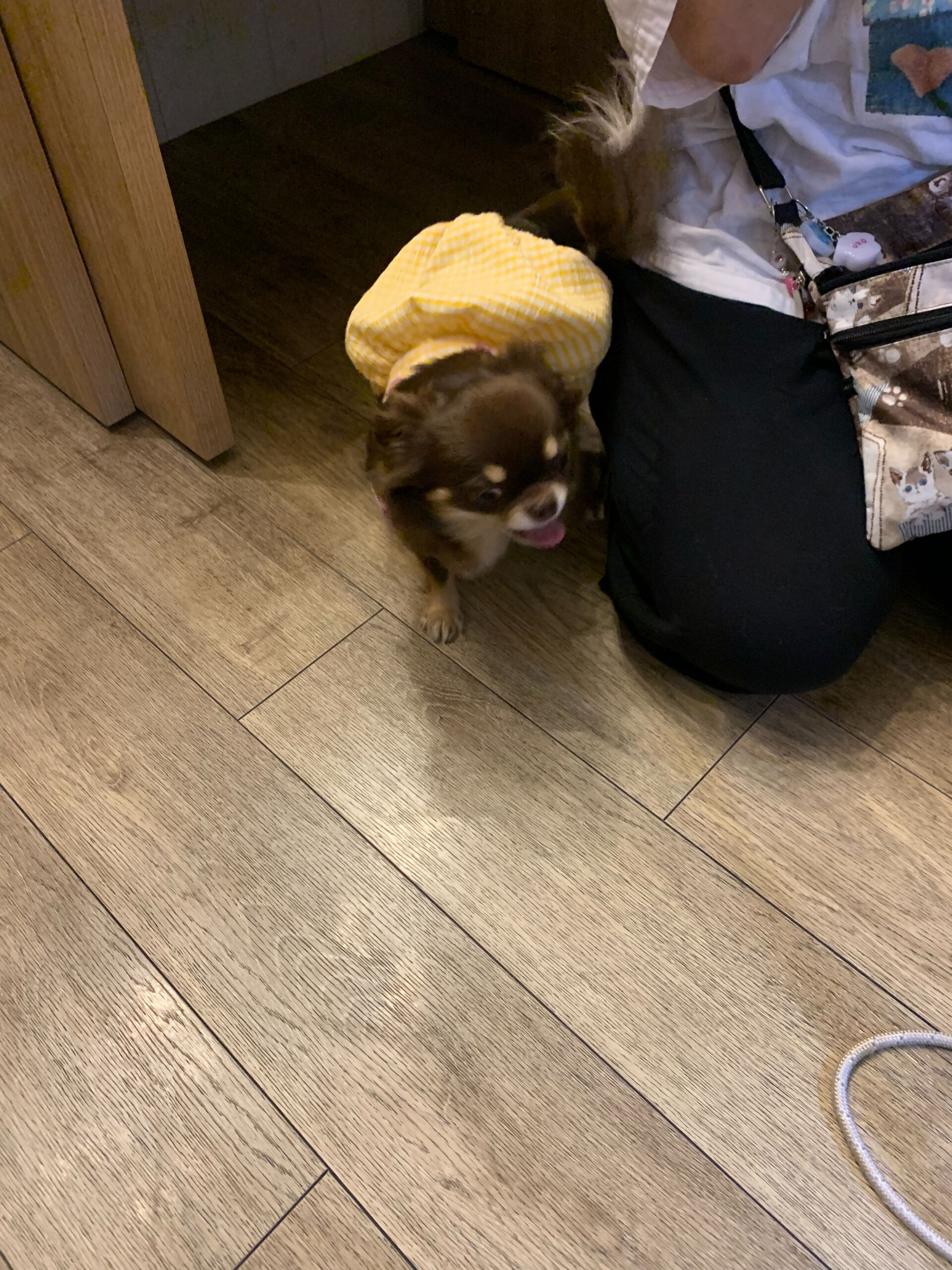 テンちゃんご来店ありがとうございます😊