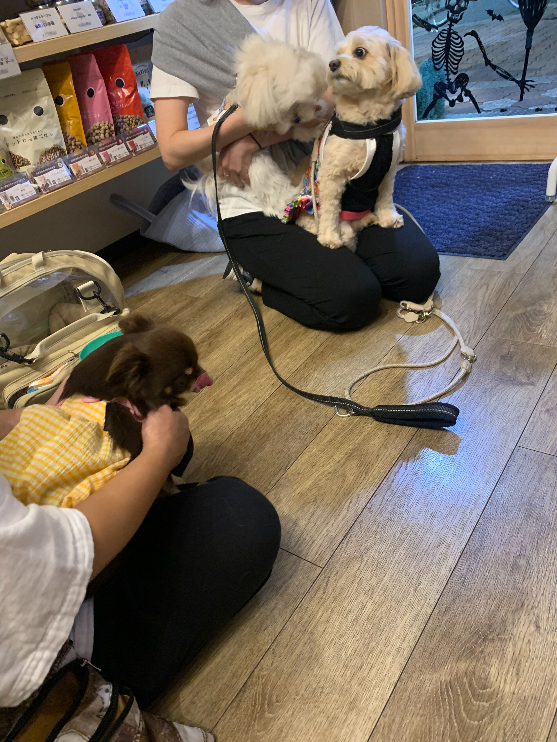 テンちゃんご来店ありがとうございます😊