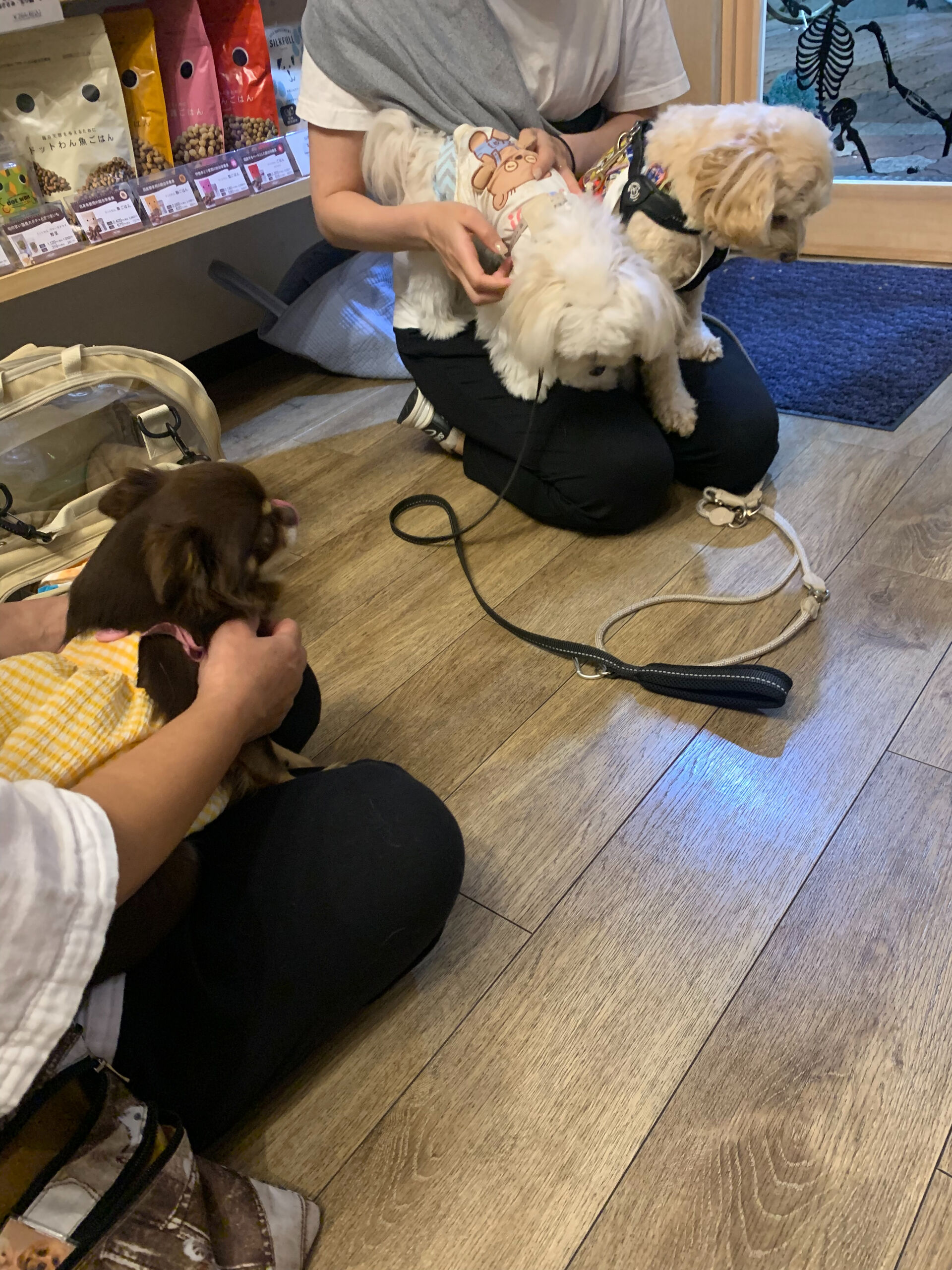テンちゃんご来店ありがとうございます😊