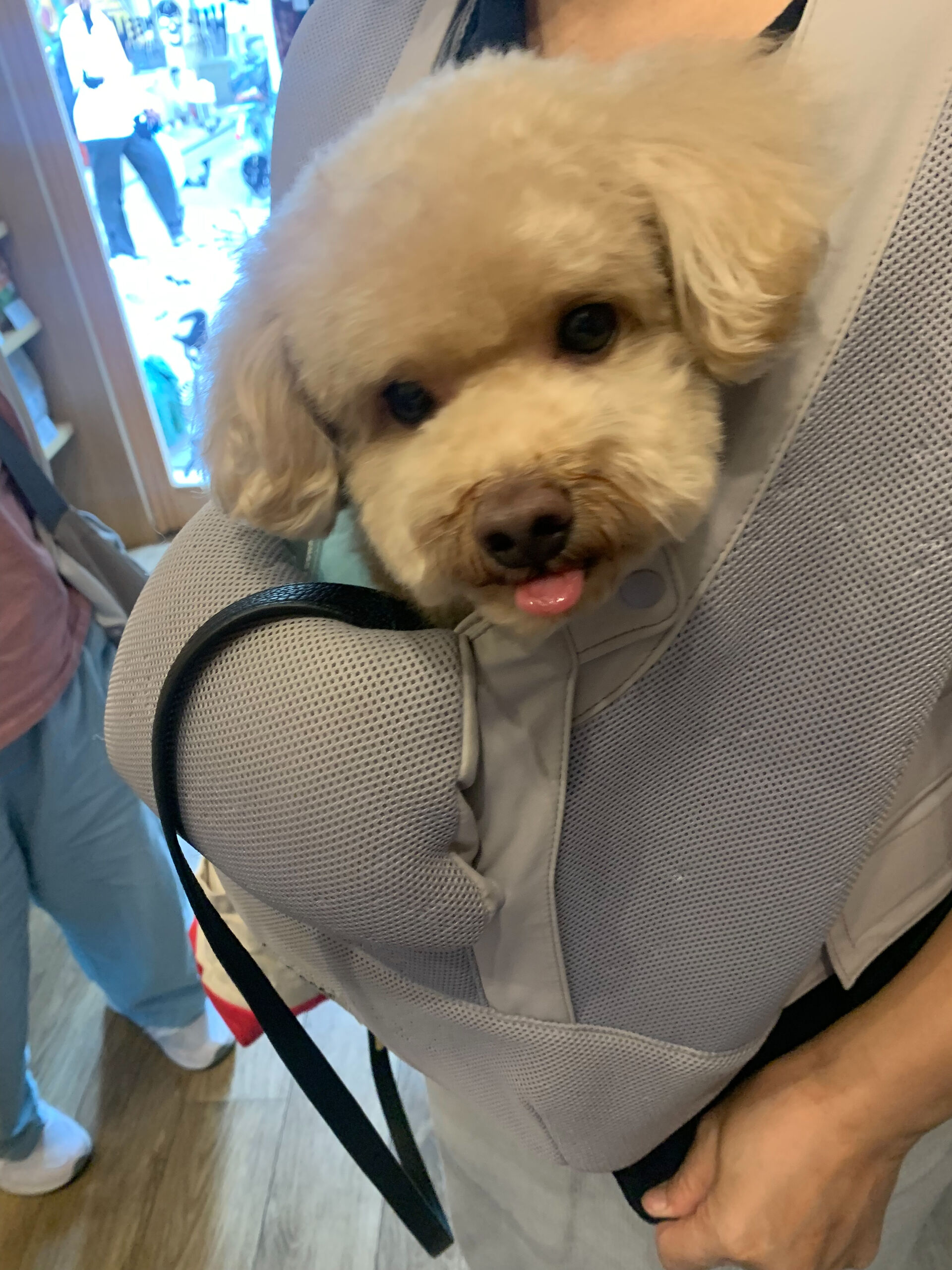 おもちくんご来店ありがとうございます😊
