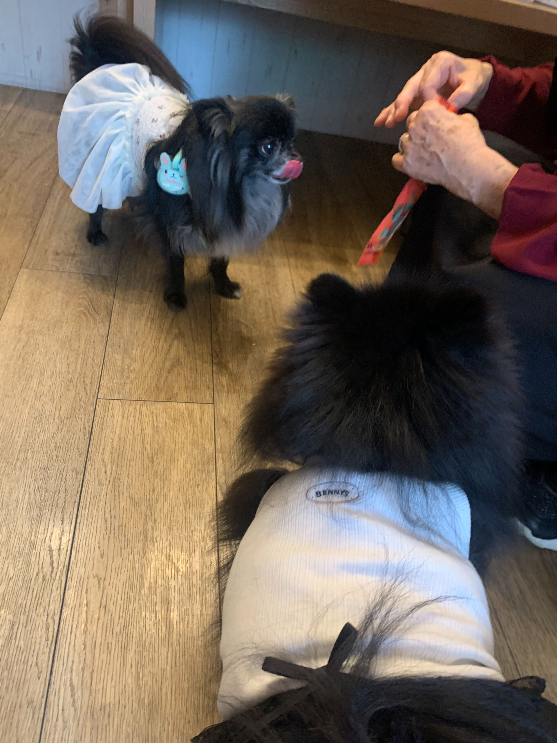 ラナちゃんご来店ありがとうございます😊