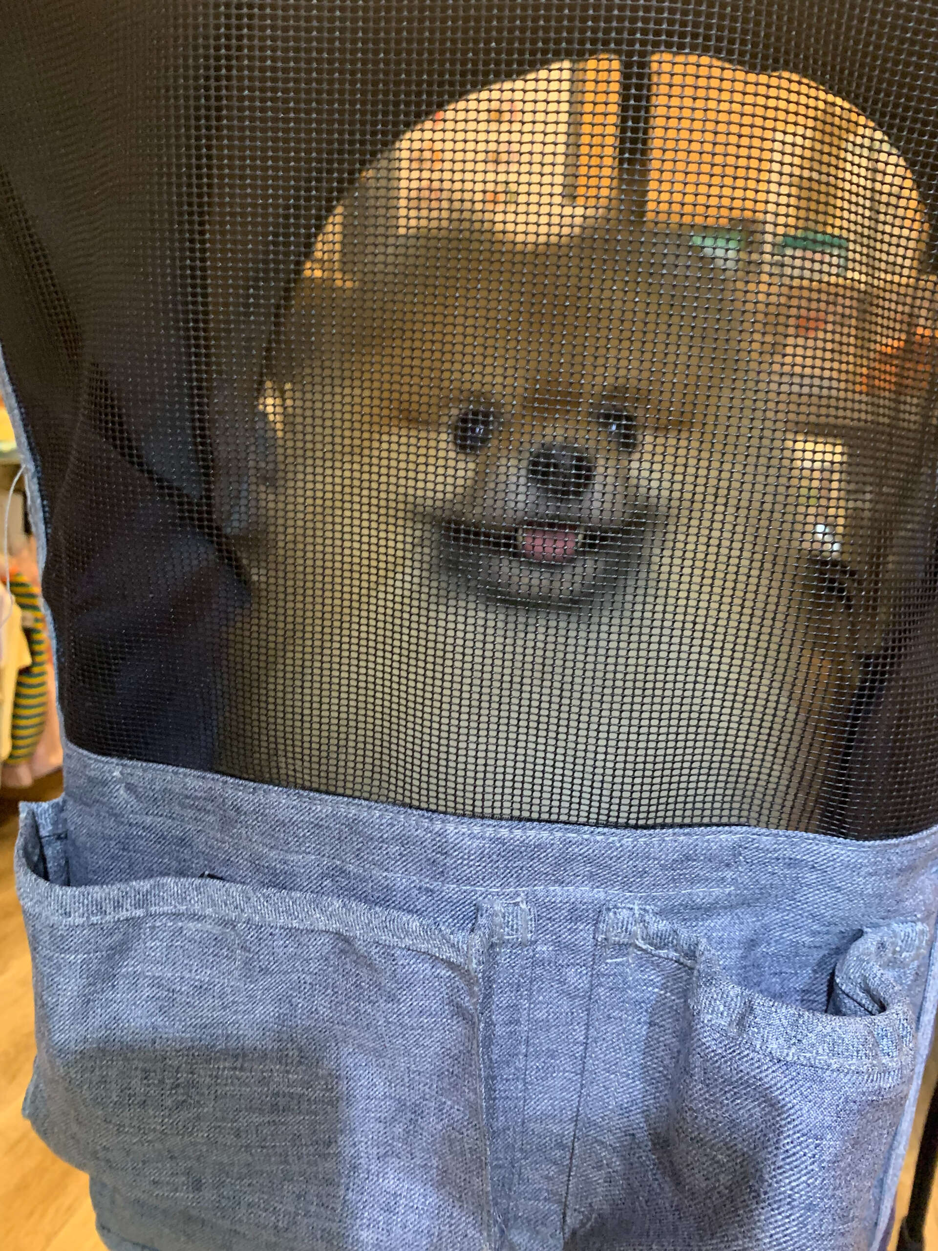 網越しそらくん🤭にこにこしてる笑