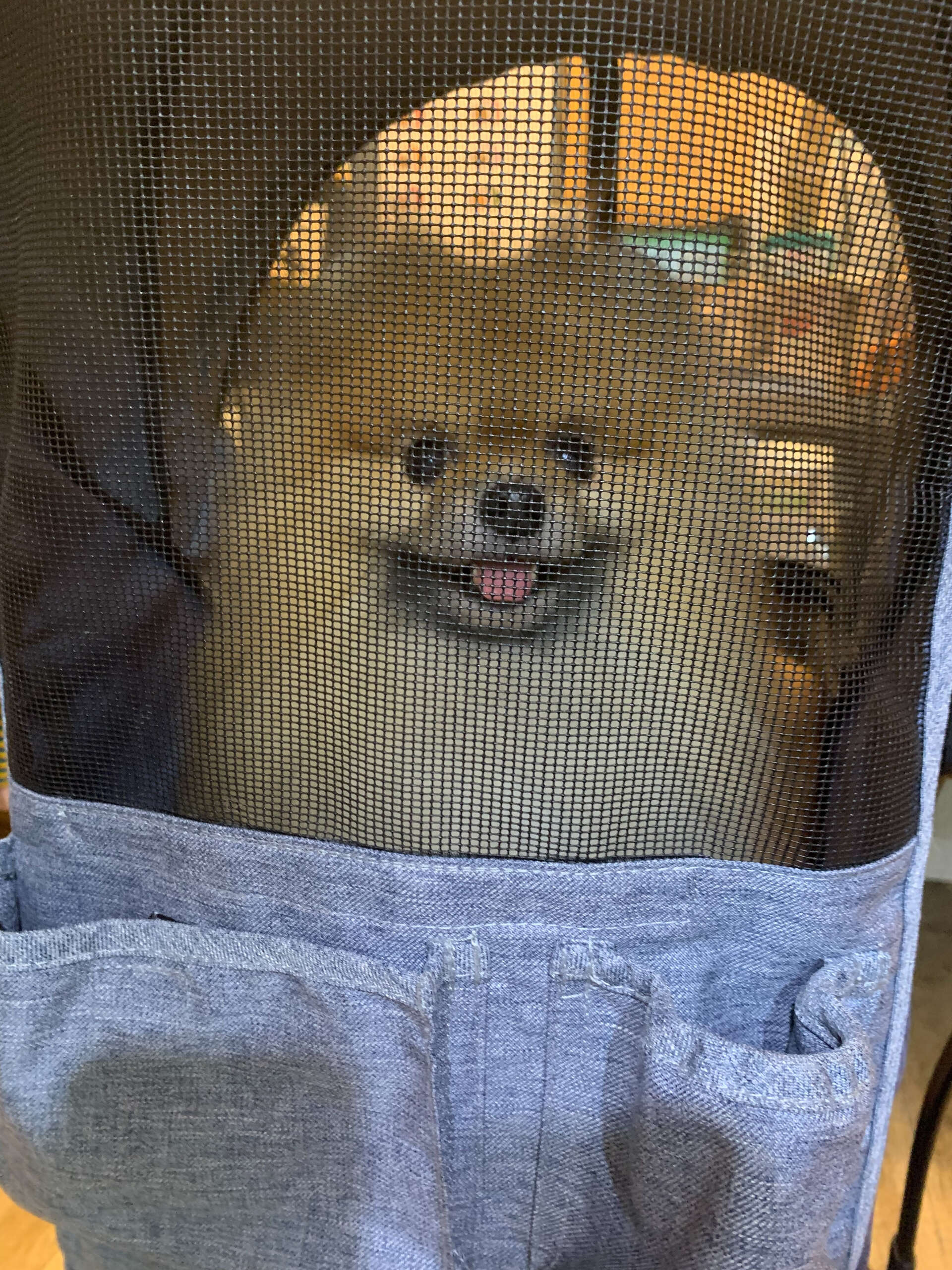 網越しそらくん🤭にこにこしてる笑