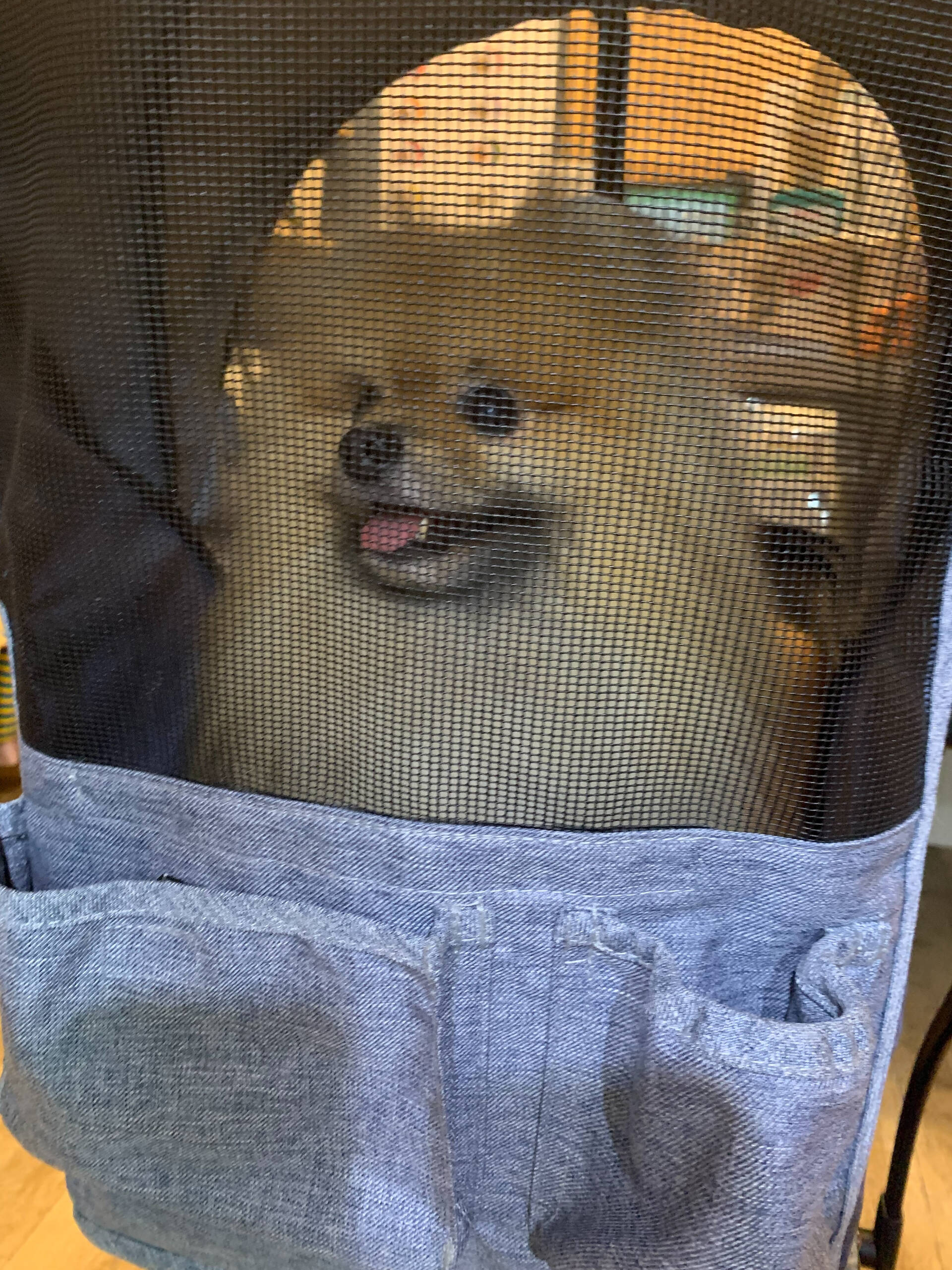 網越しそらくん🤭にこにこしてる笑