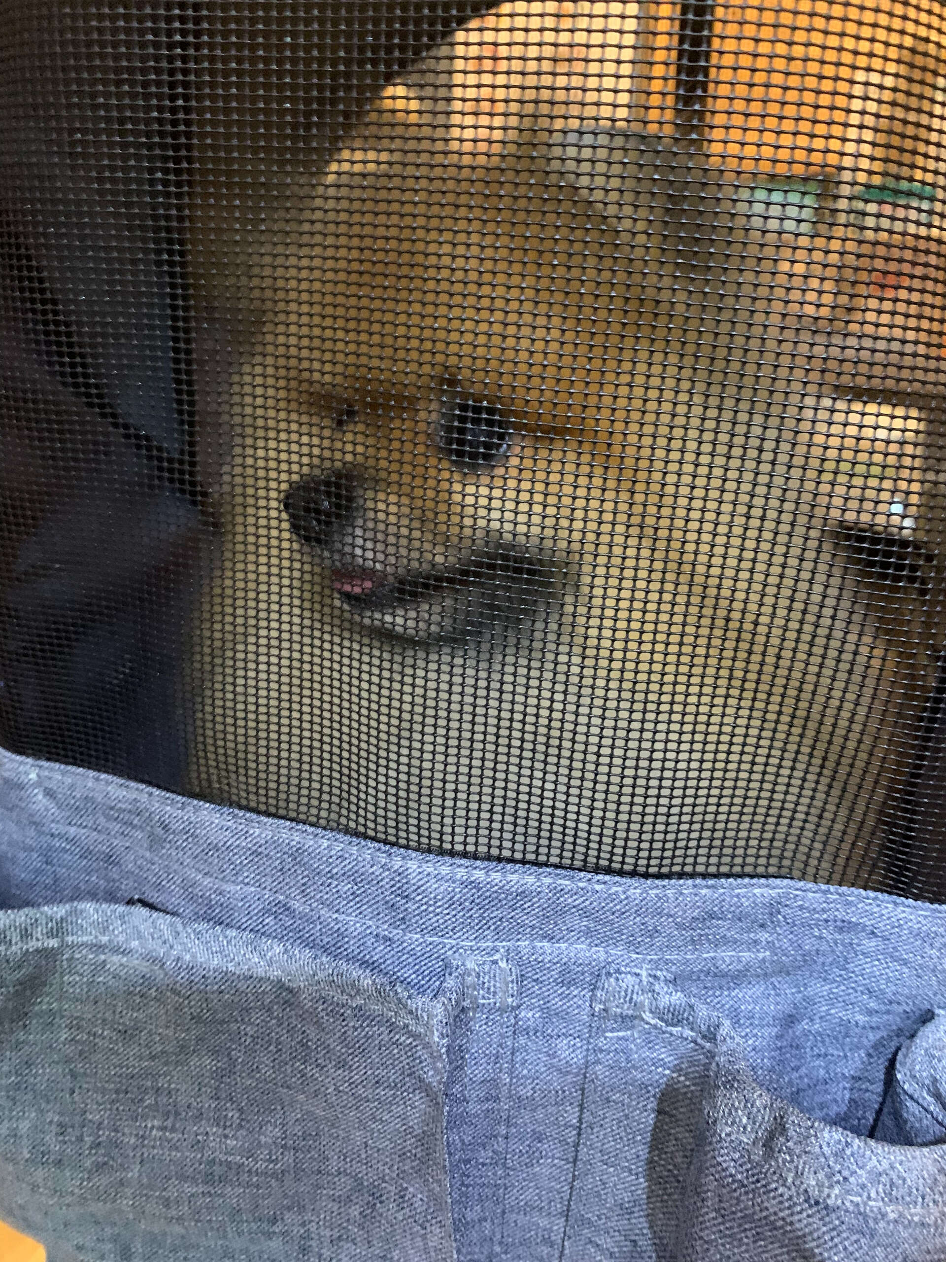 網越しそらくん🤭にこにこしてる笑