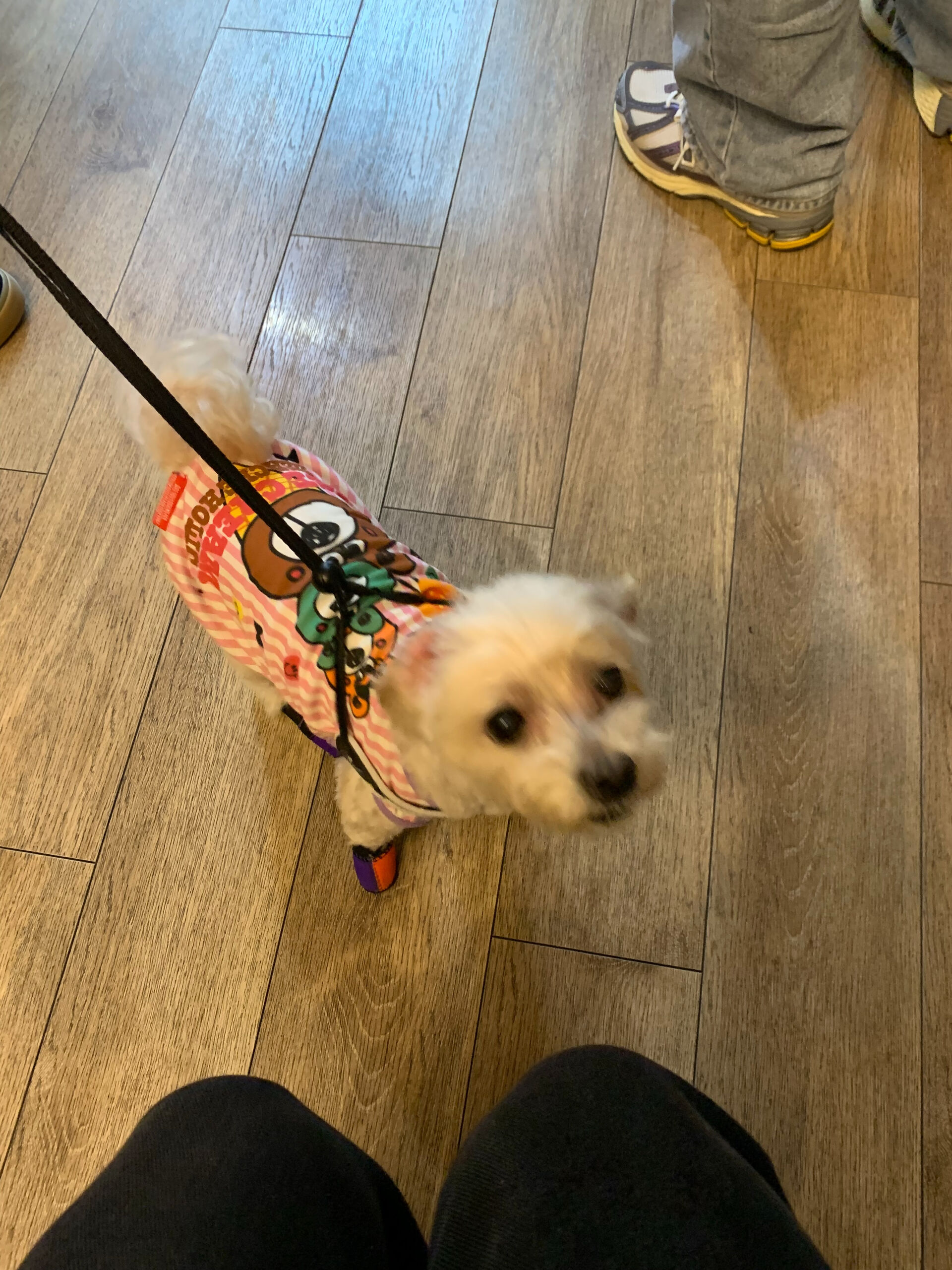 シェールちゃんご来店ありがとうございます😊