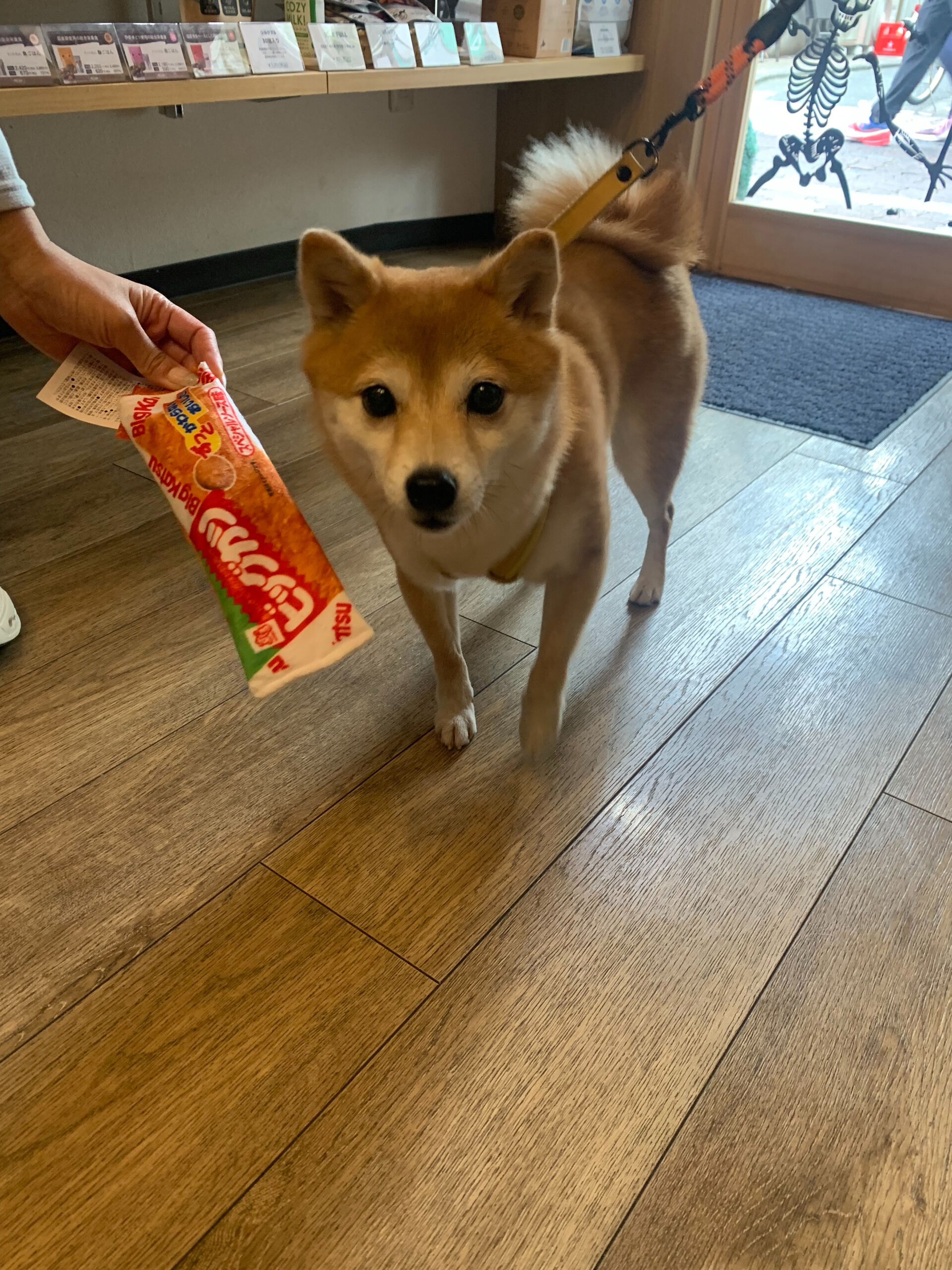 ウニちゃん初めまして✨