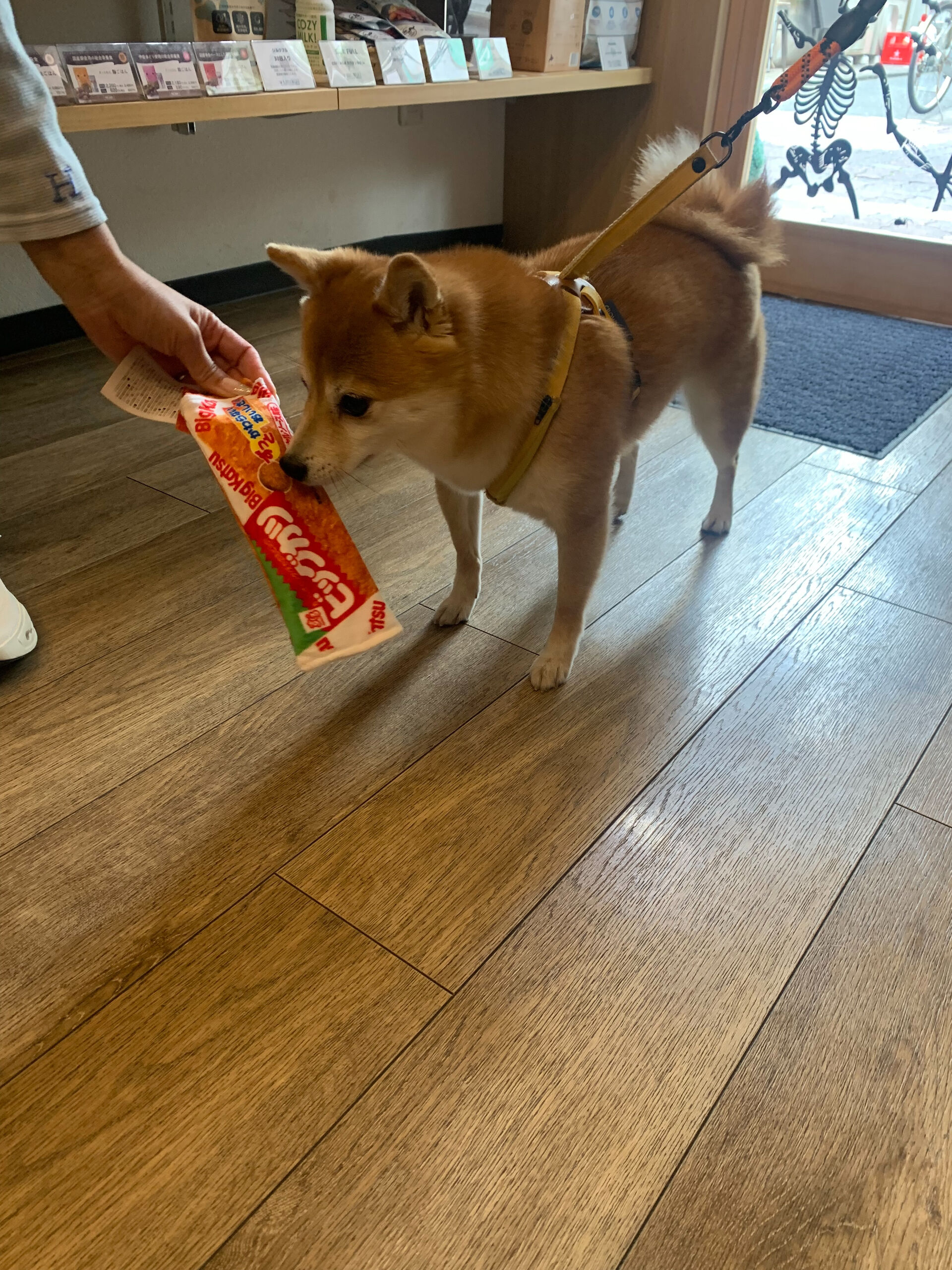 ウニちゃん初めまして✨