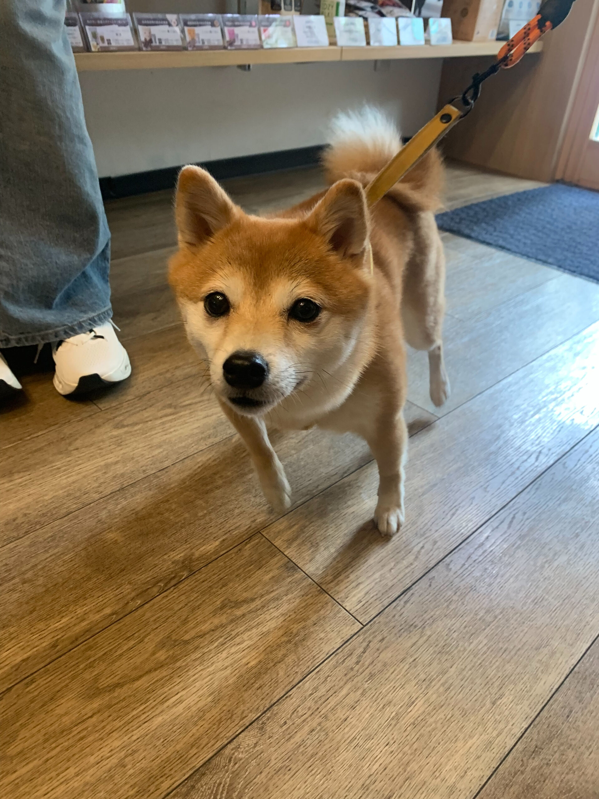ウニちゃん初めまして✨