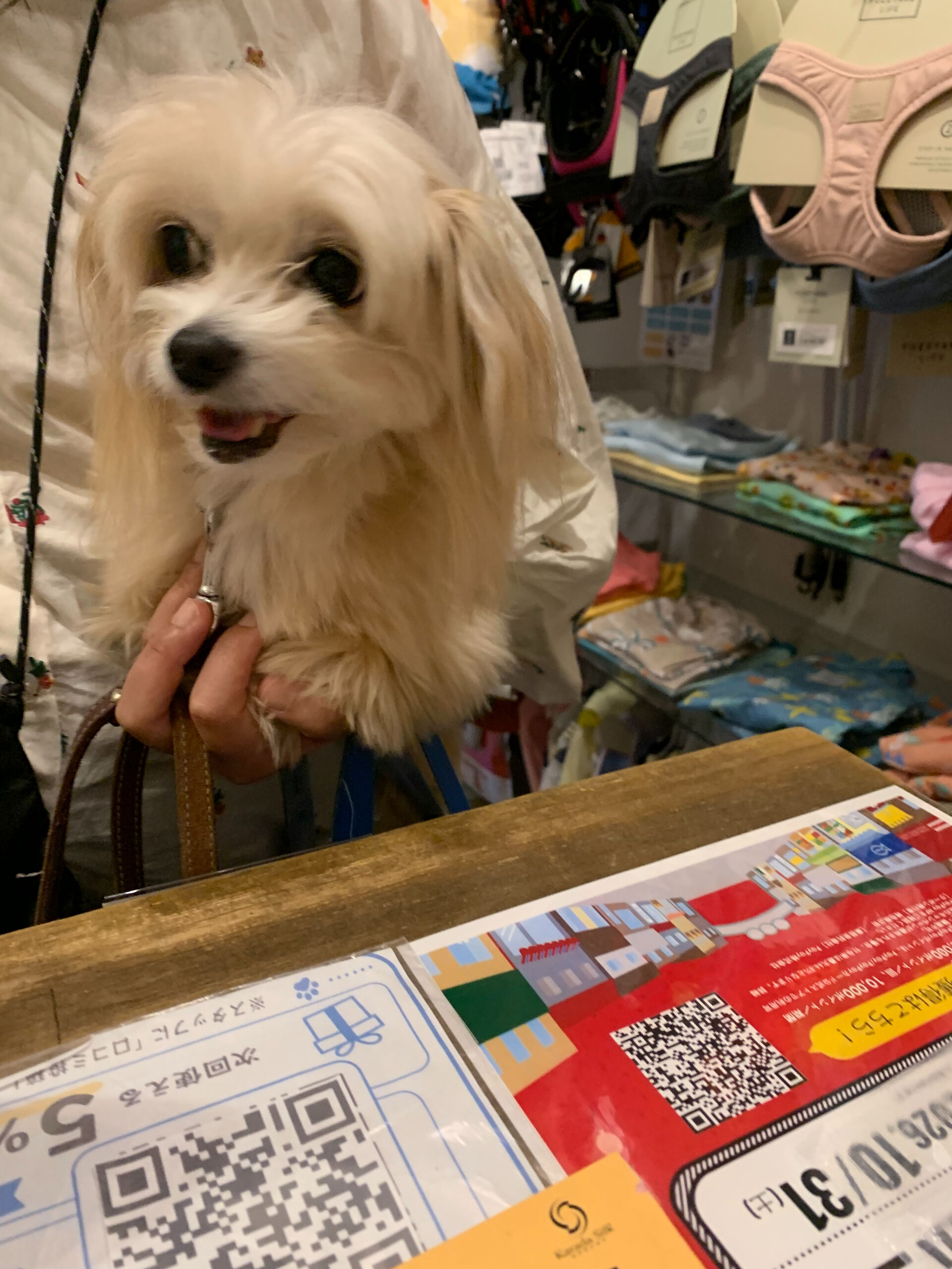 きみちゃんご来店ありがとうございます😊