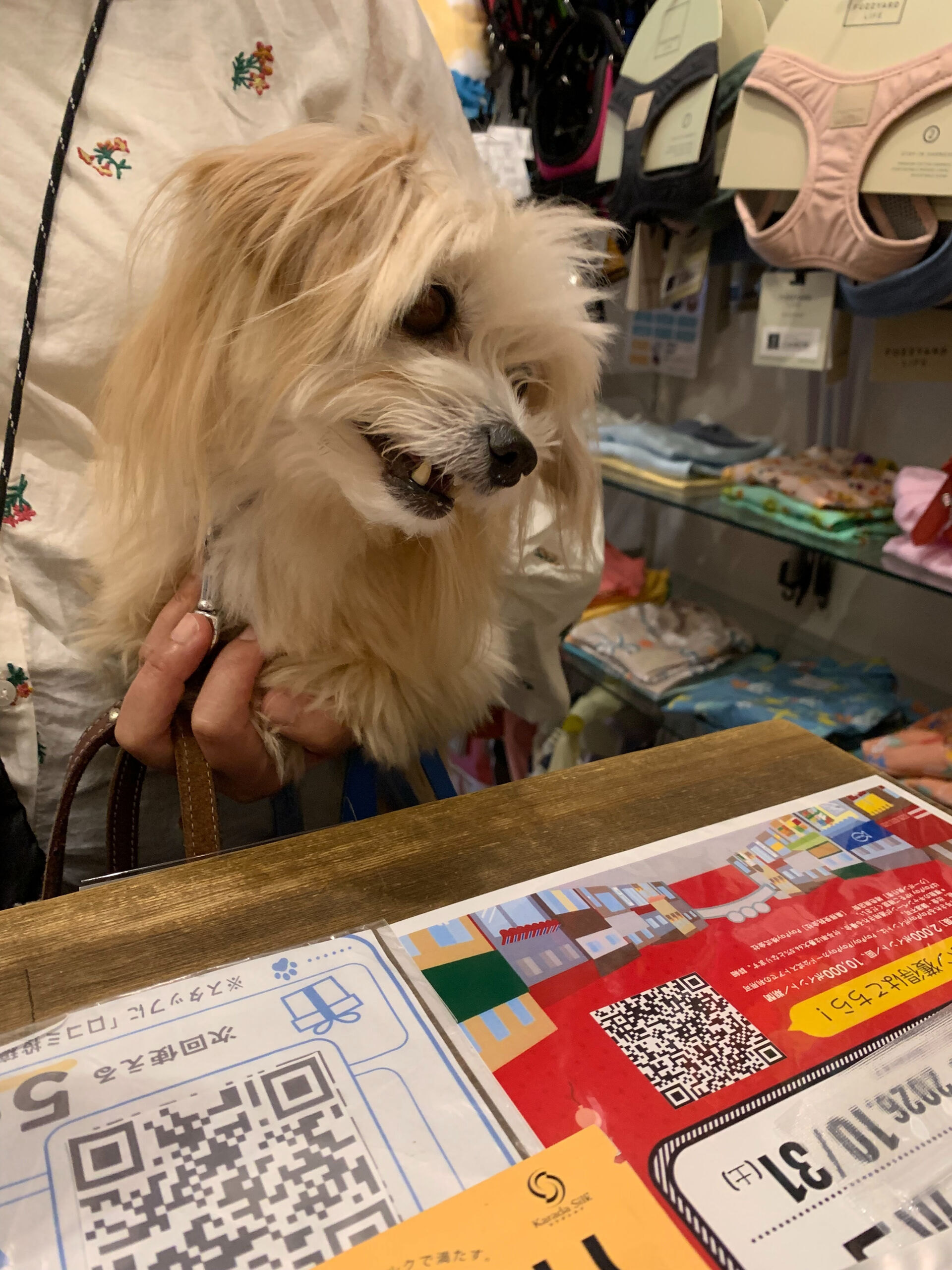 きみちゃんご来店ありがとうございます😊