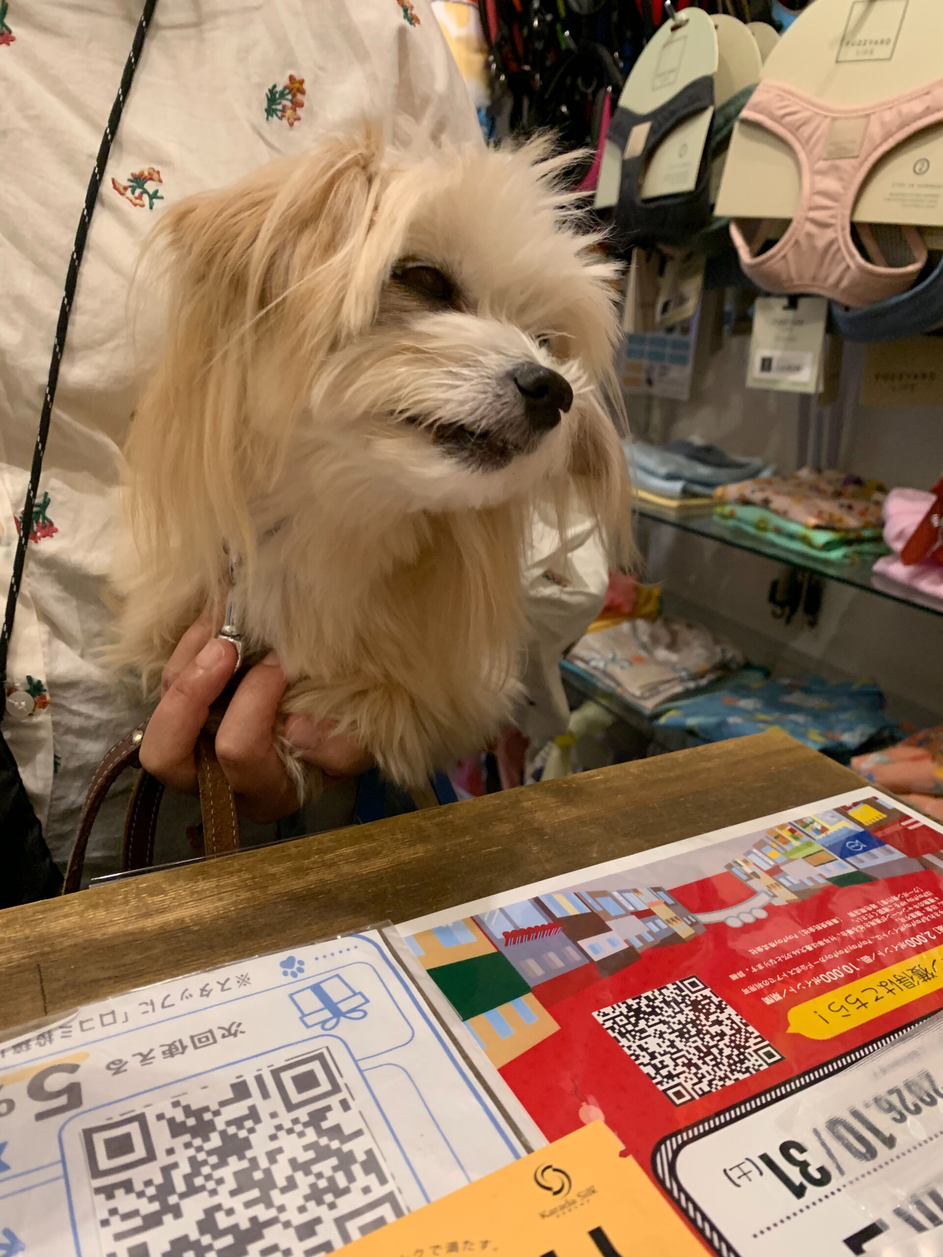 きみちゃんご来店ありがとうございます😊
