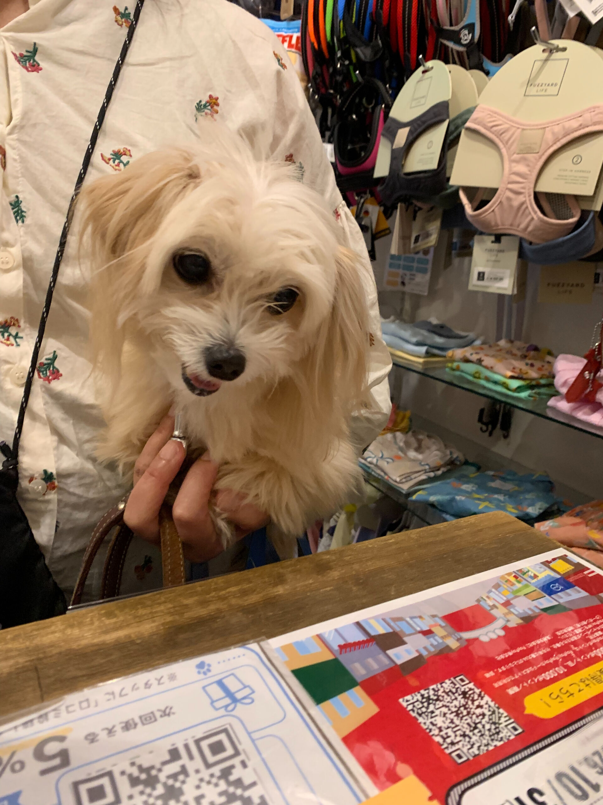 きみちゃんご来店ありがとうございます😊