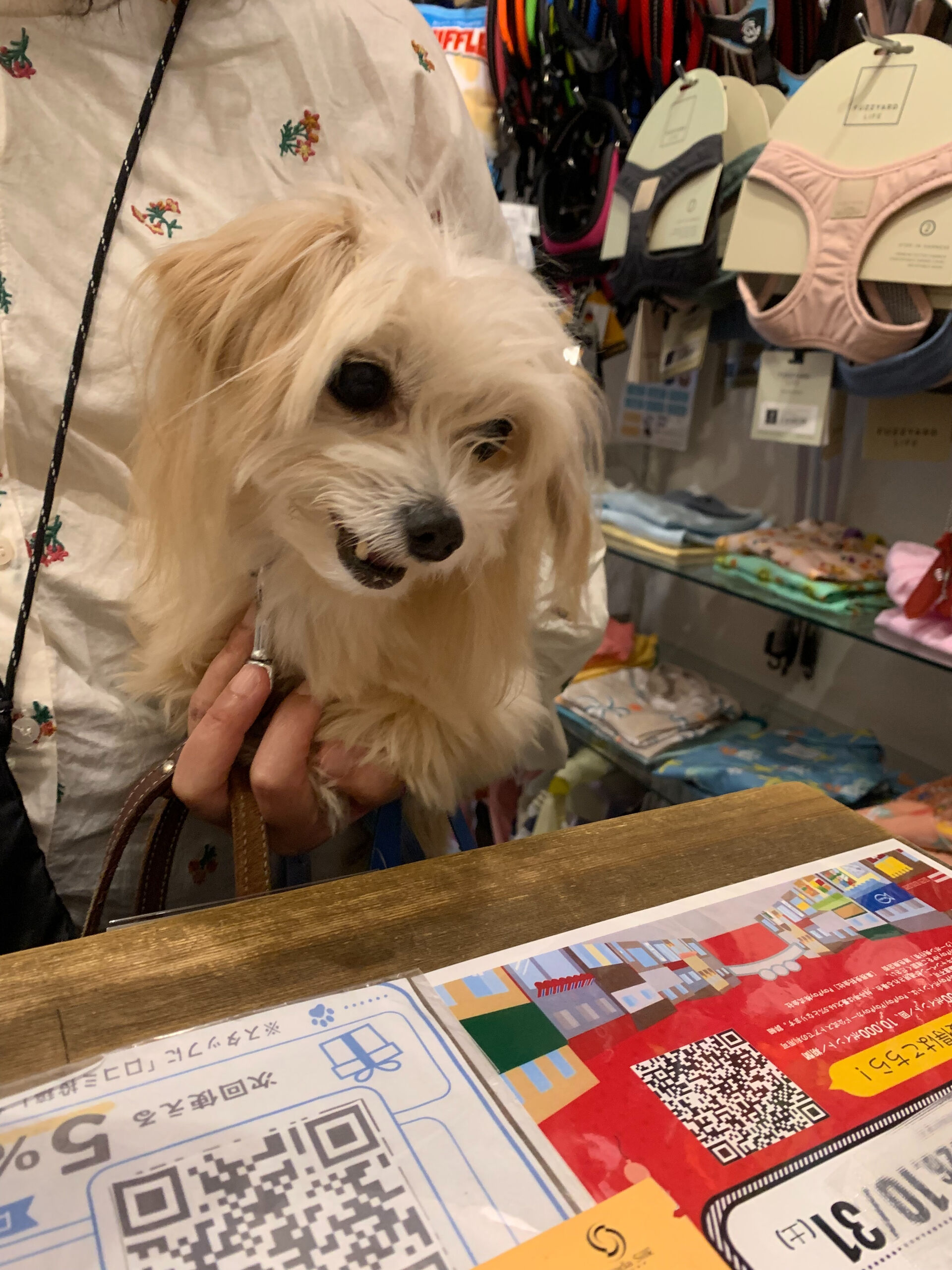 きみちゃんご来店ありがとうございます😊