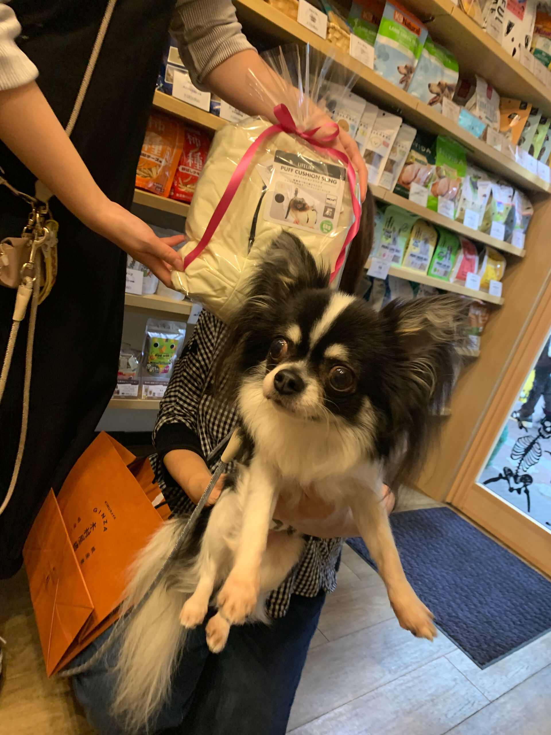 りくくんご来店ありがとうございます😊