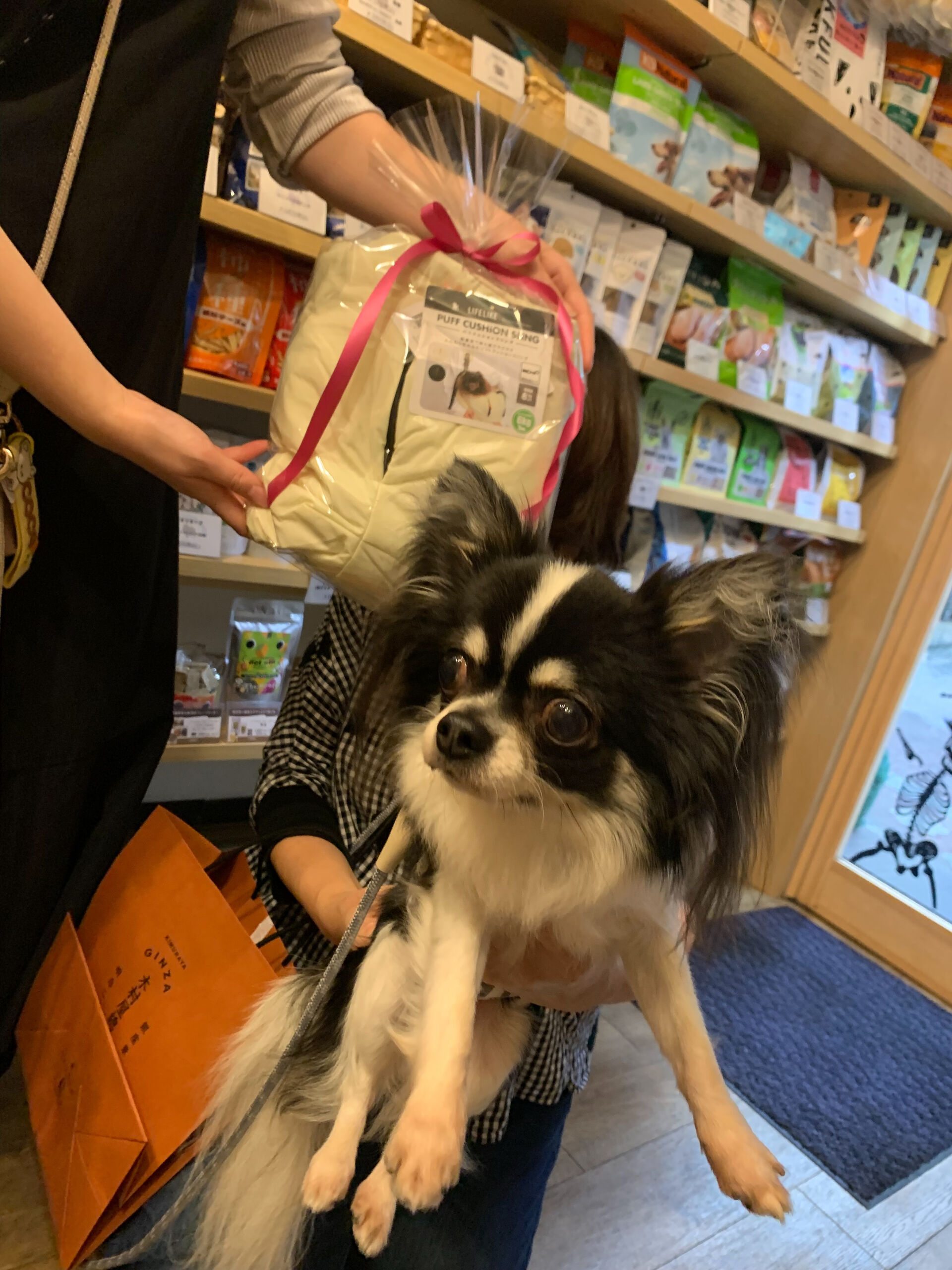 りくくんご来店ありがとうございます😊