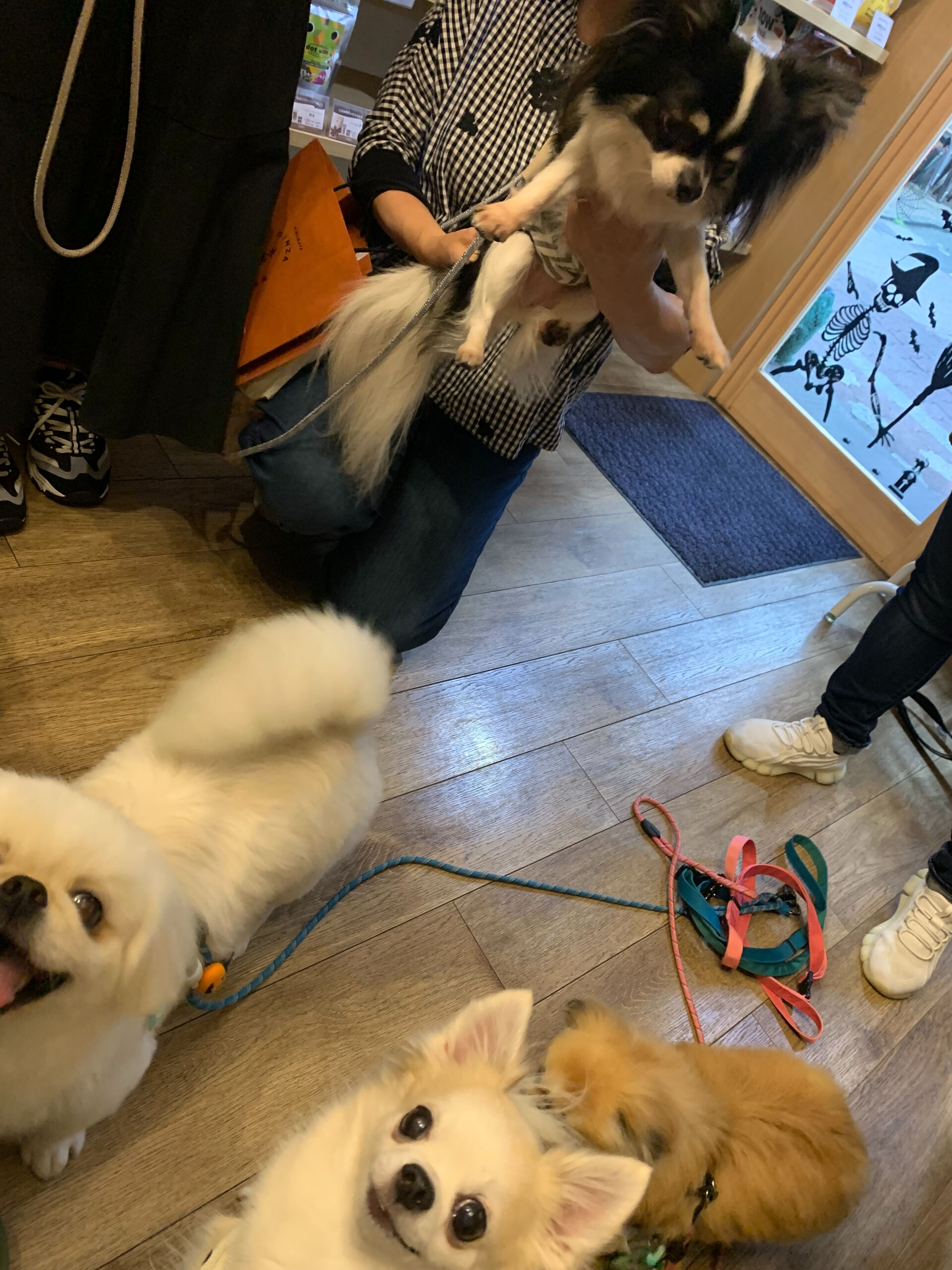 りくくんご来店ありがとうございます😊