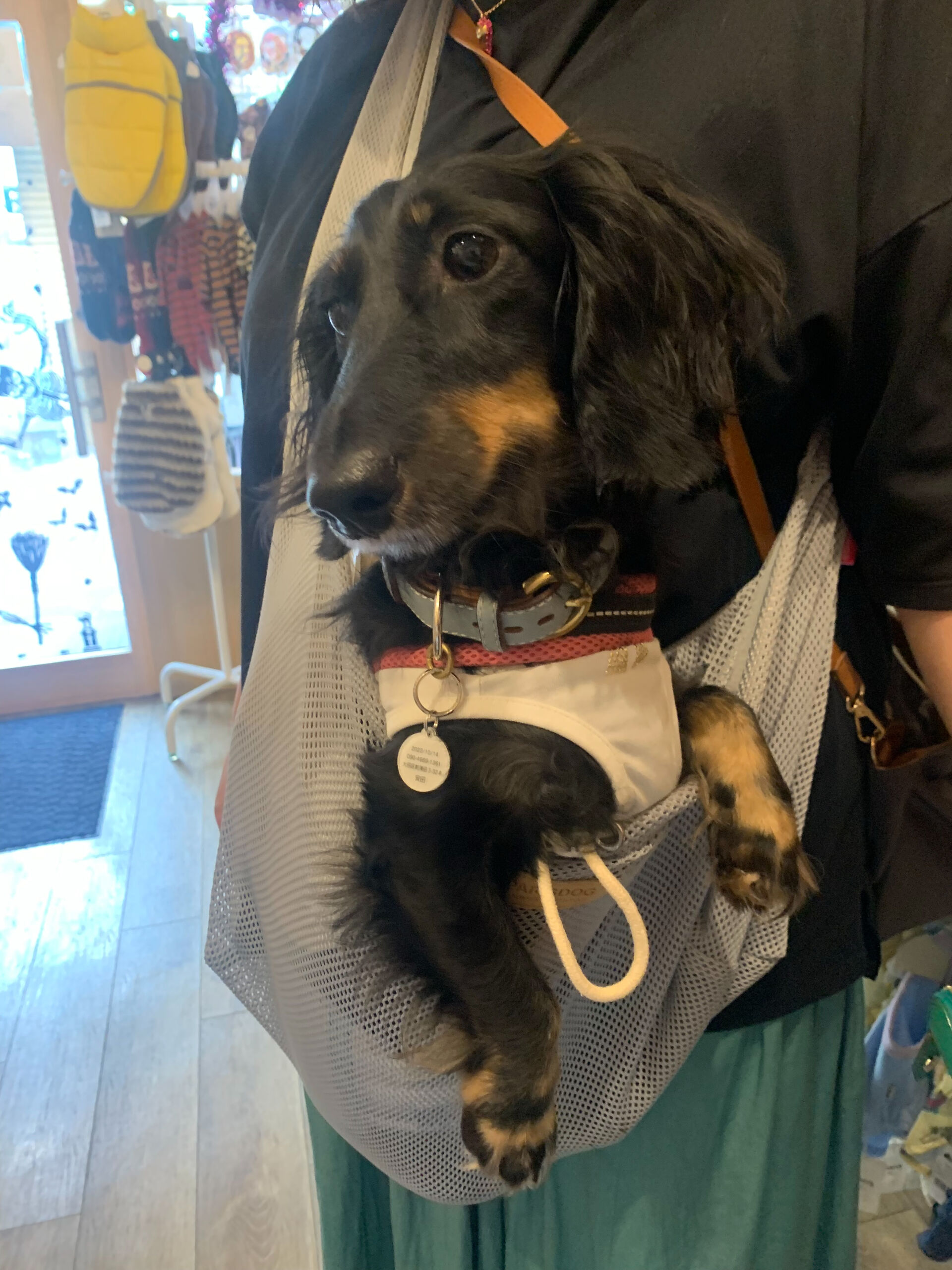 エイトくんご来店ありがとうございます😊