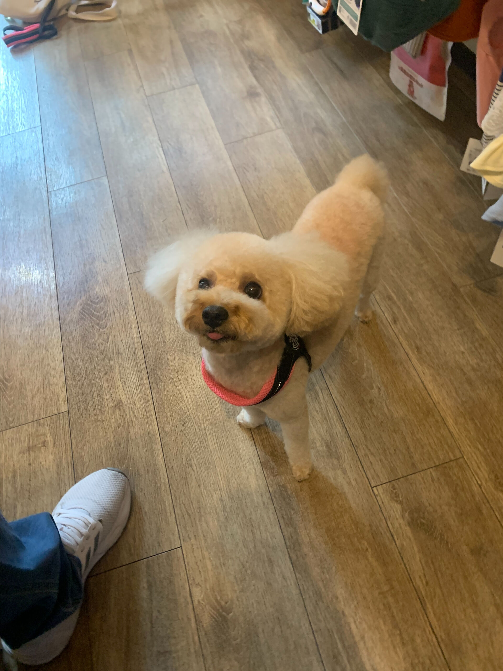 モンブランくんご来店ありがとうございます😊