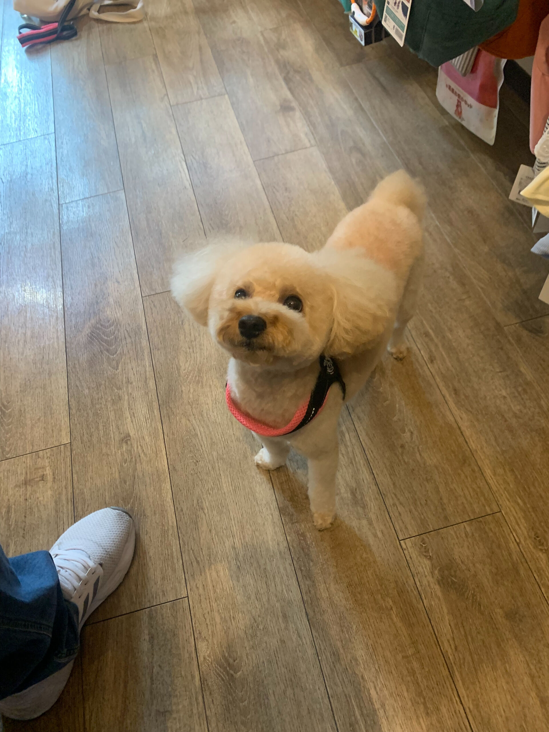 モンブランくんご来店ありがとうございます😊