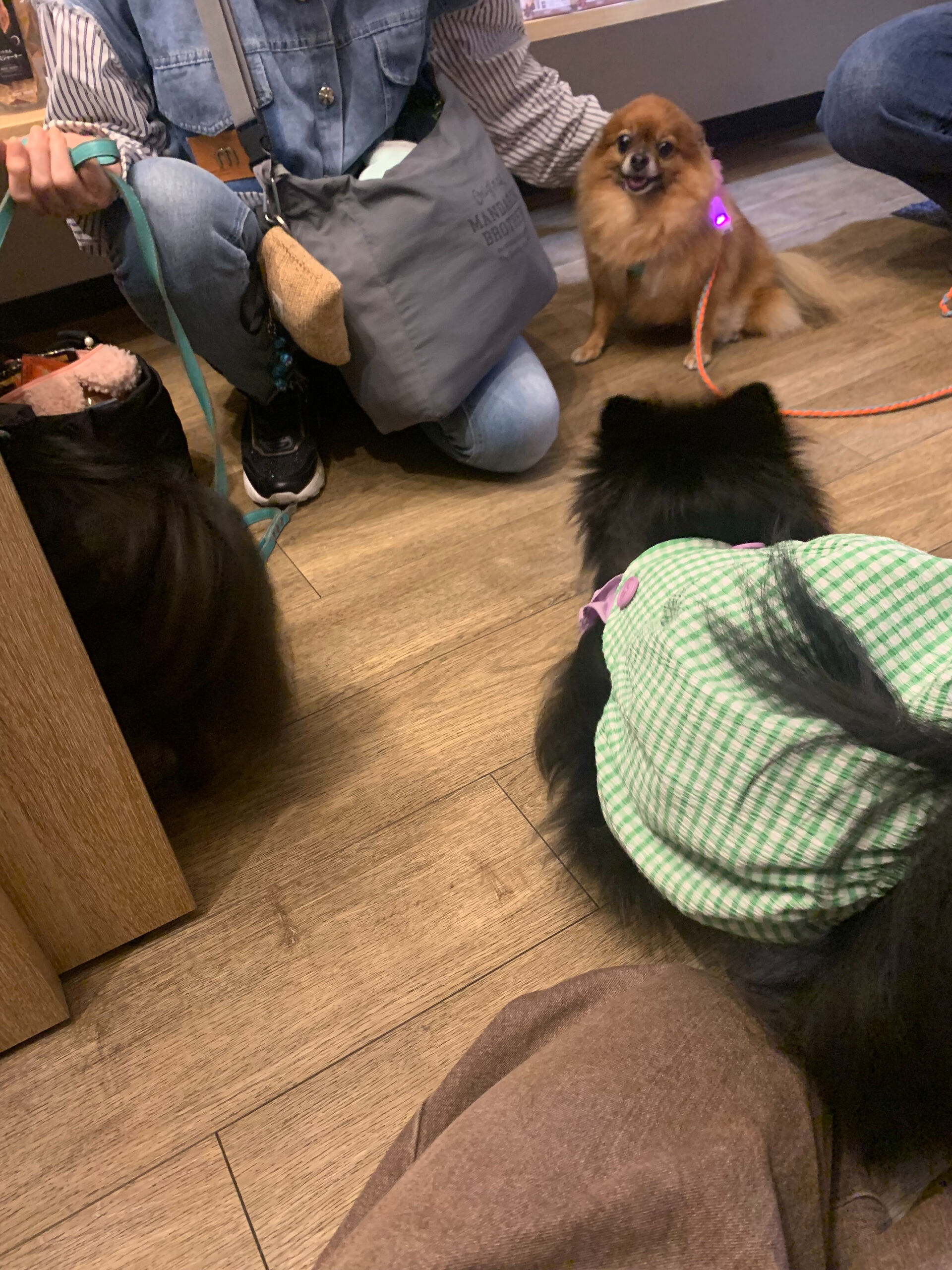 こてつくんご来店ありがとうございます！