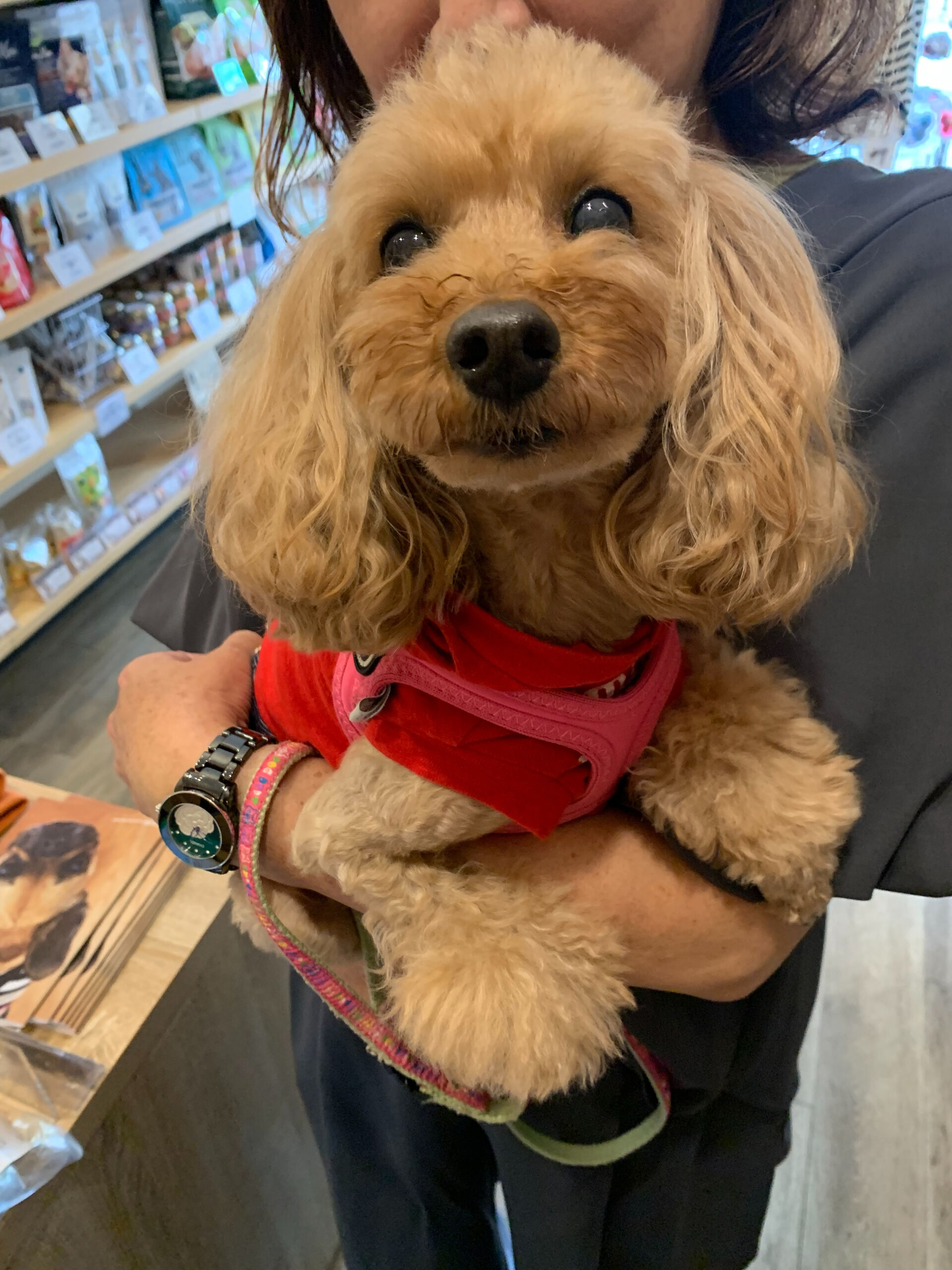 幸音ちゃんご来店ありがとうございます😊