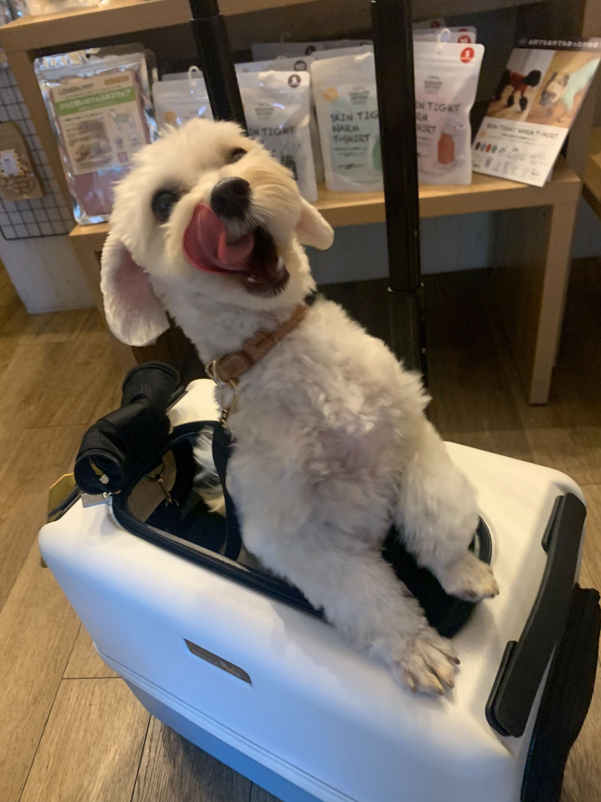 ピースくんご来店ありがとうございます😊
