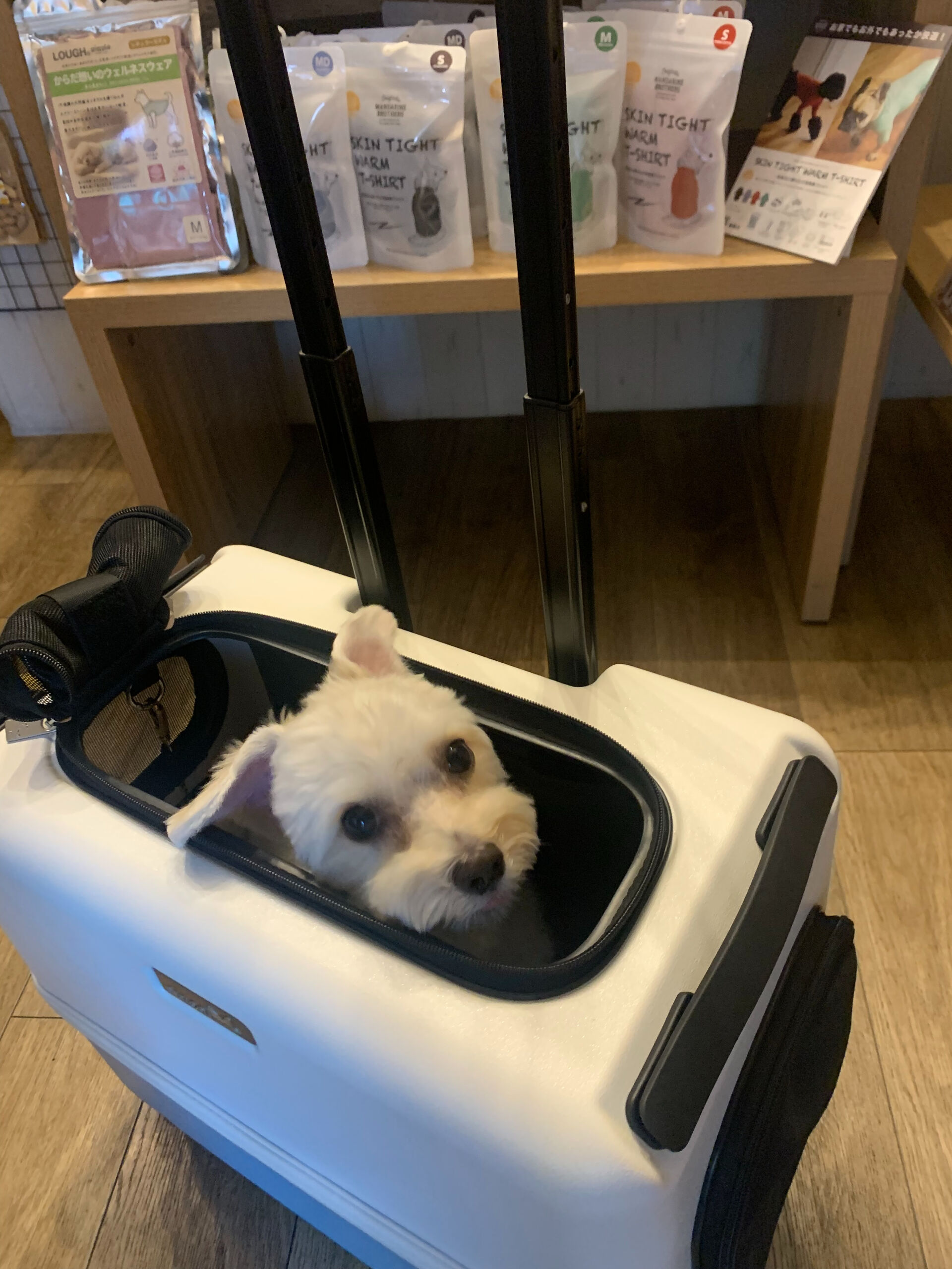 ピースくんご来店ありがとうございます😊