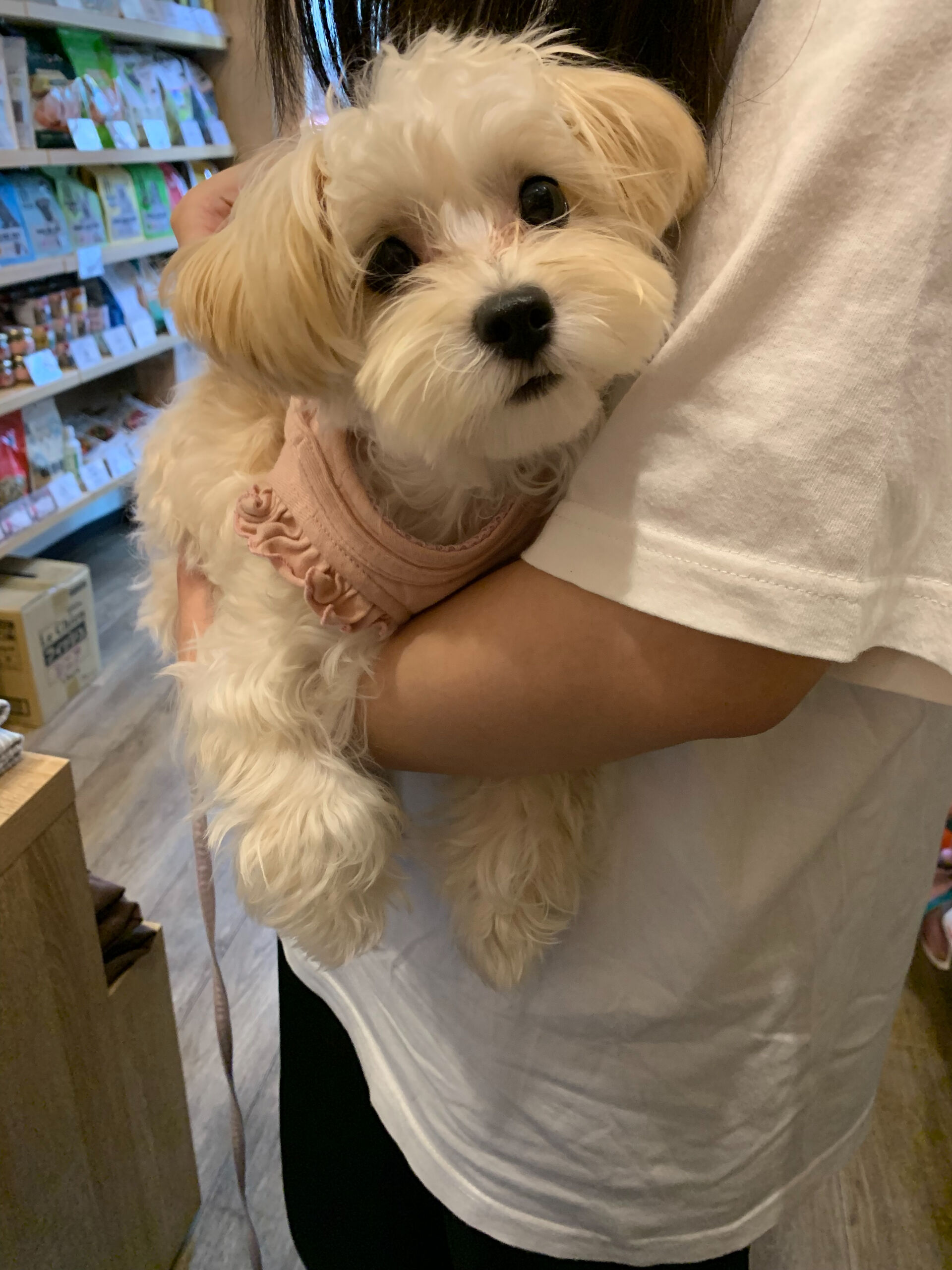 春ちゃんご来店ありがとうございます😊