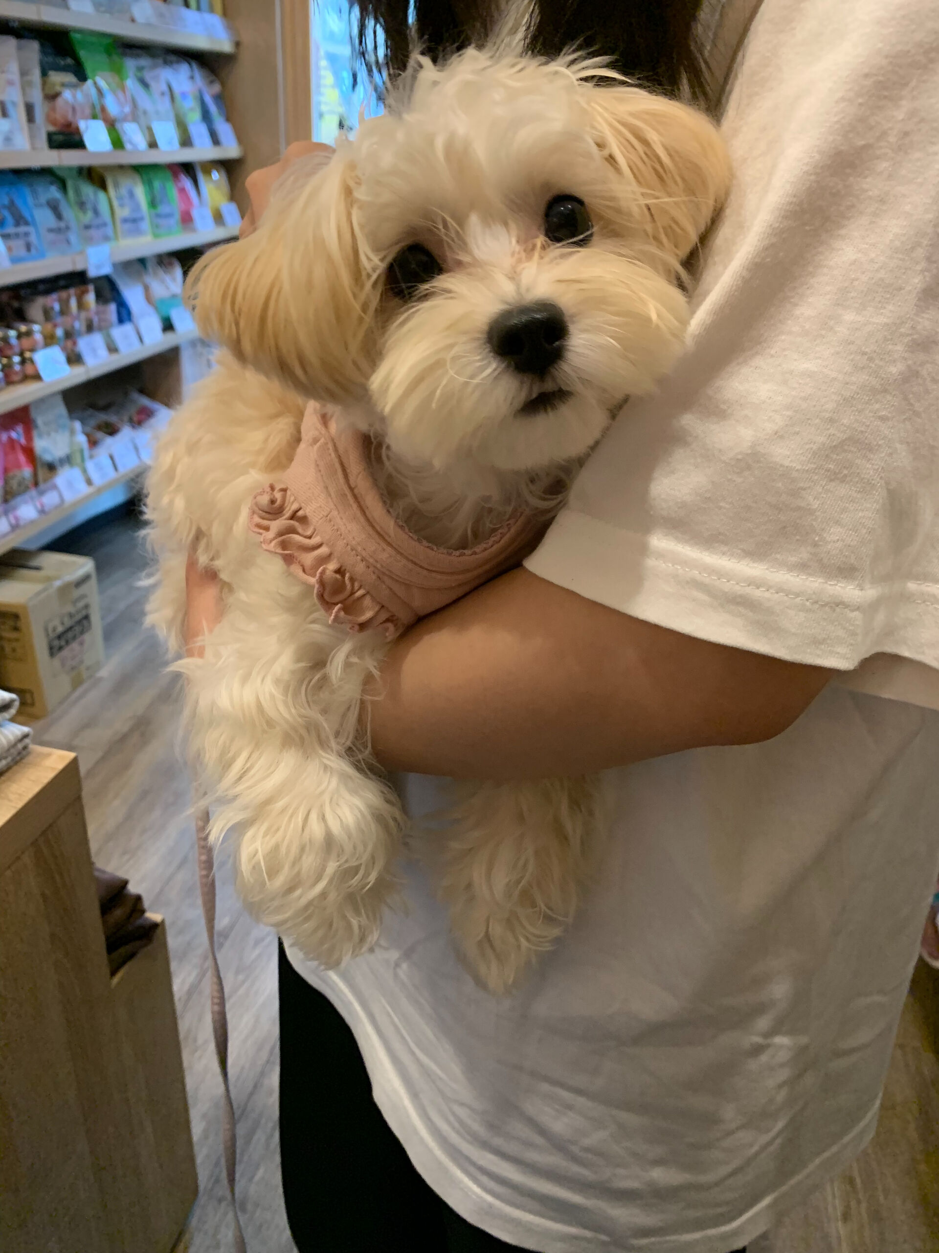春ちゃんご来店ありがとうございます😊