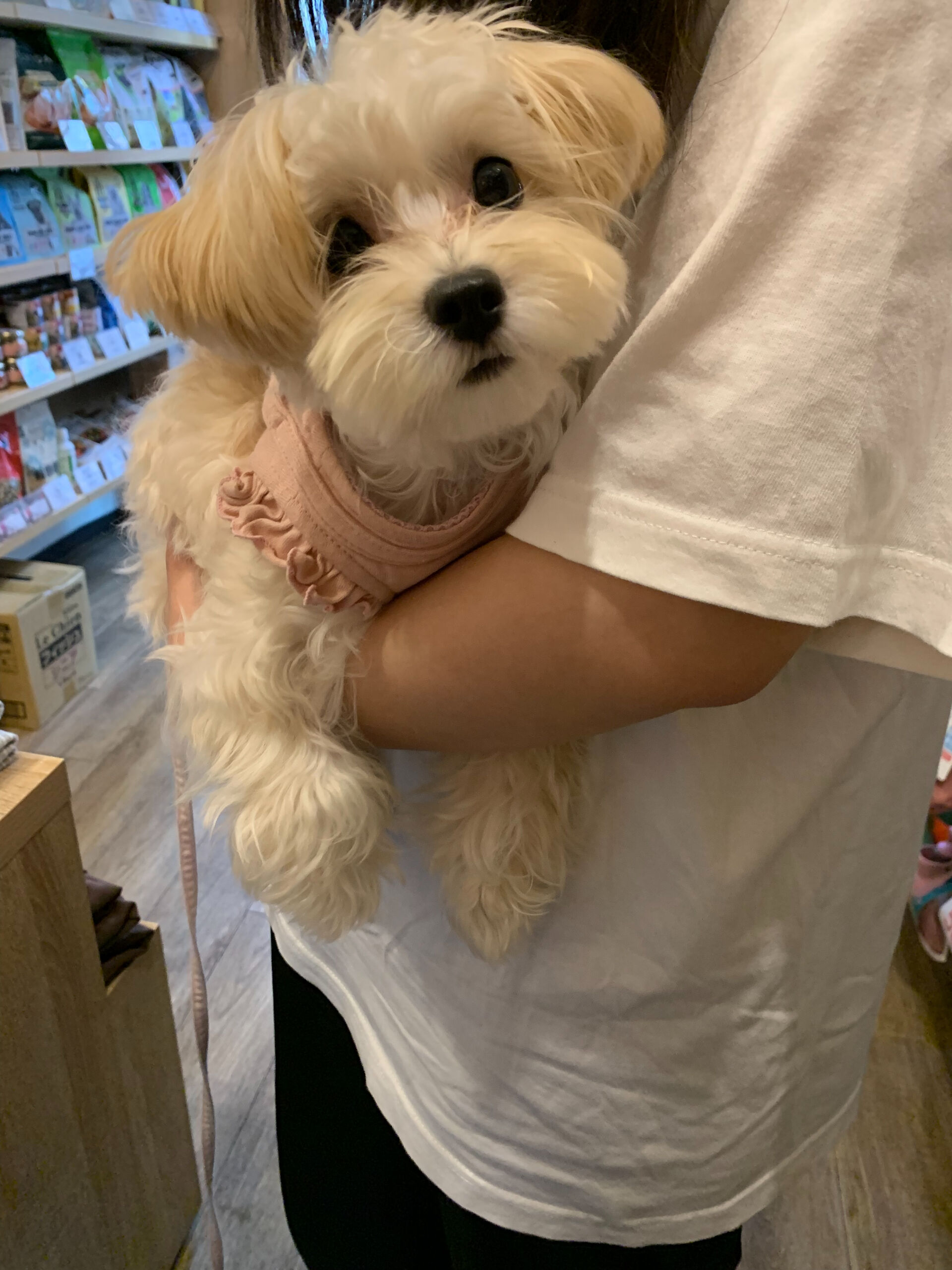春ちゃんご来店ありがとうございます😊