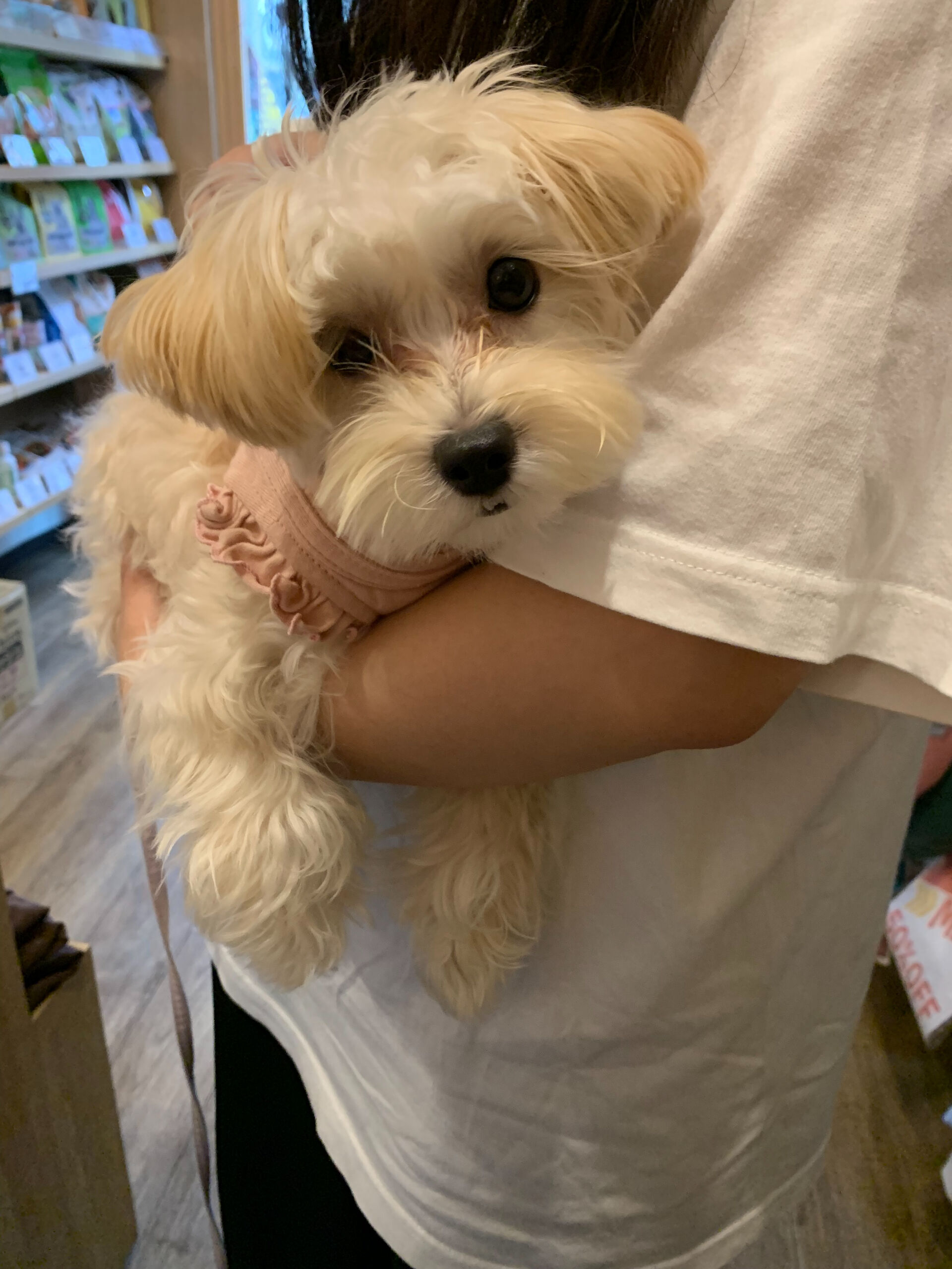 春ちゃんご来店ありがとうございます😊