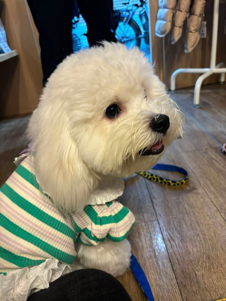 笑丸くん、笑心ちゃん、プーマくんご来店ありがとうございます😊