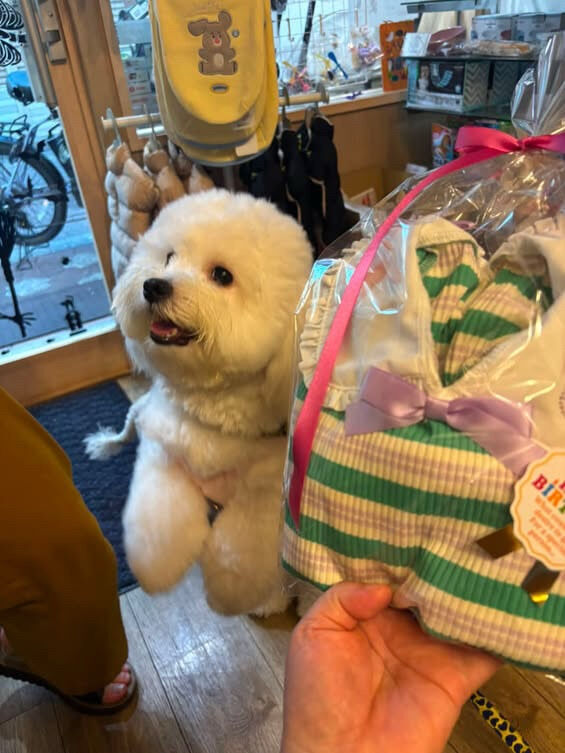 笑丸くん、笑心ちゃん、プーマくんご来店ありがとうございます😊