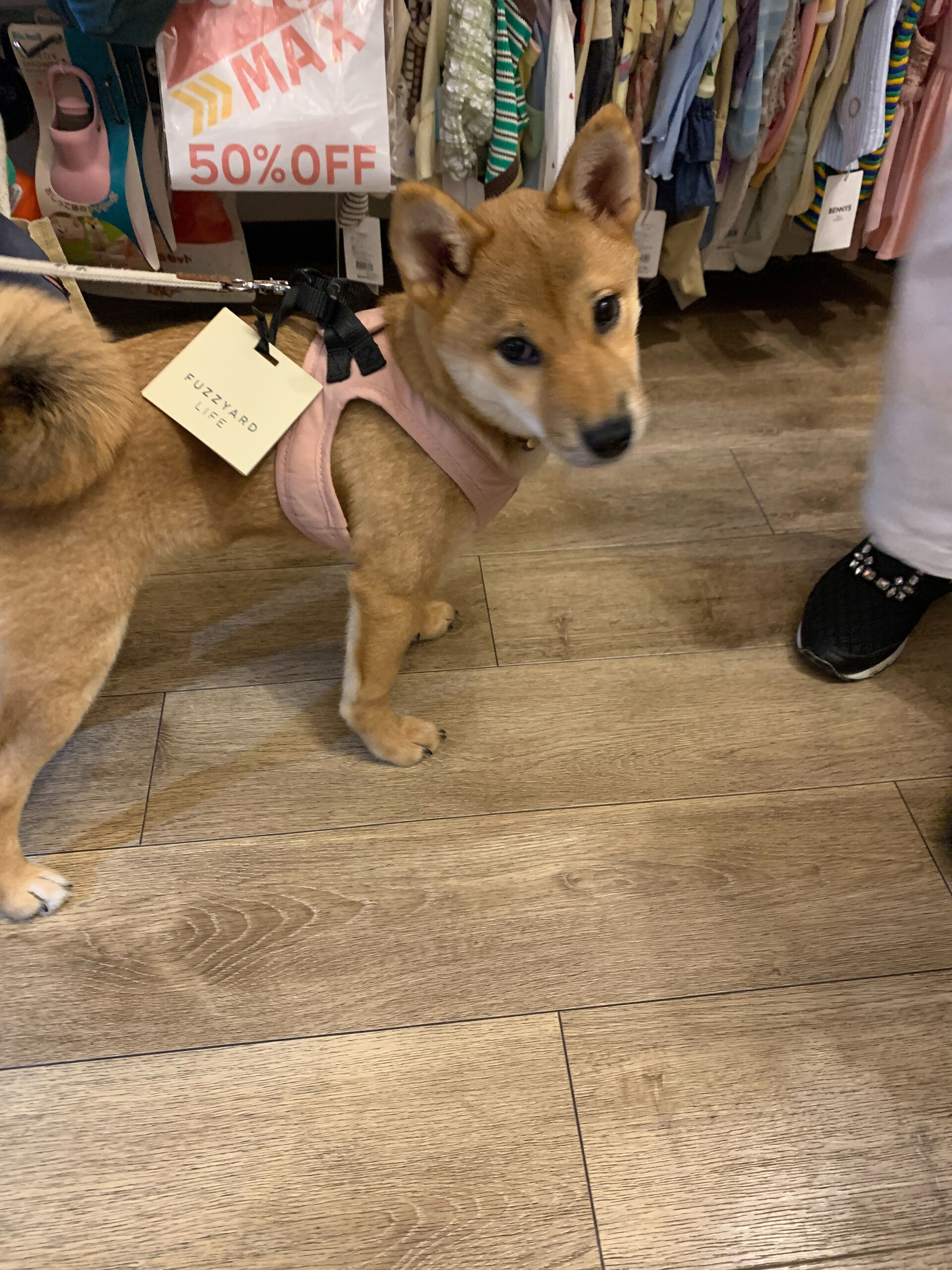 ノアちゃん初めまして✨