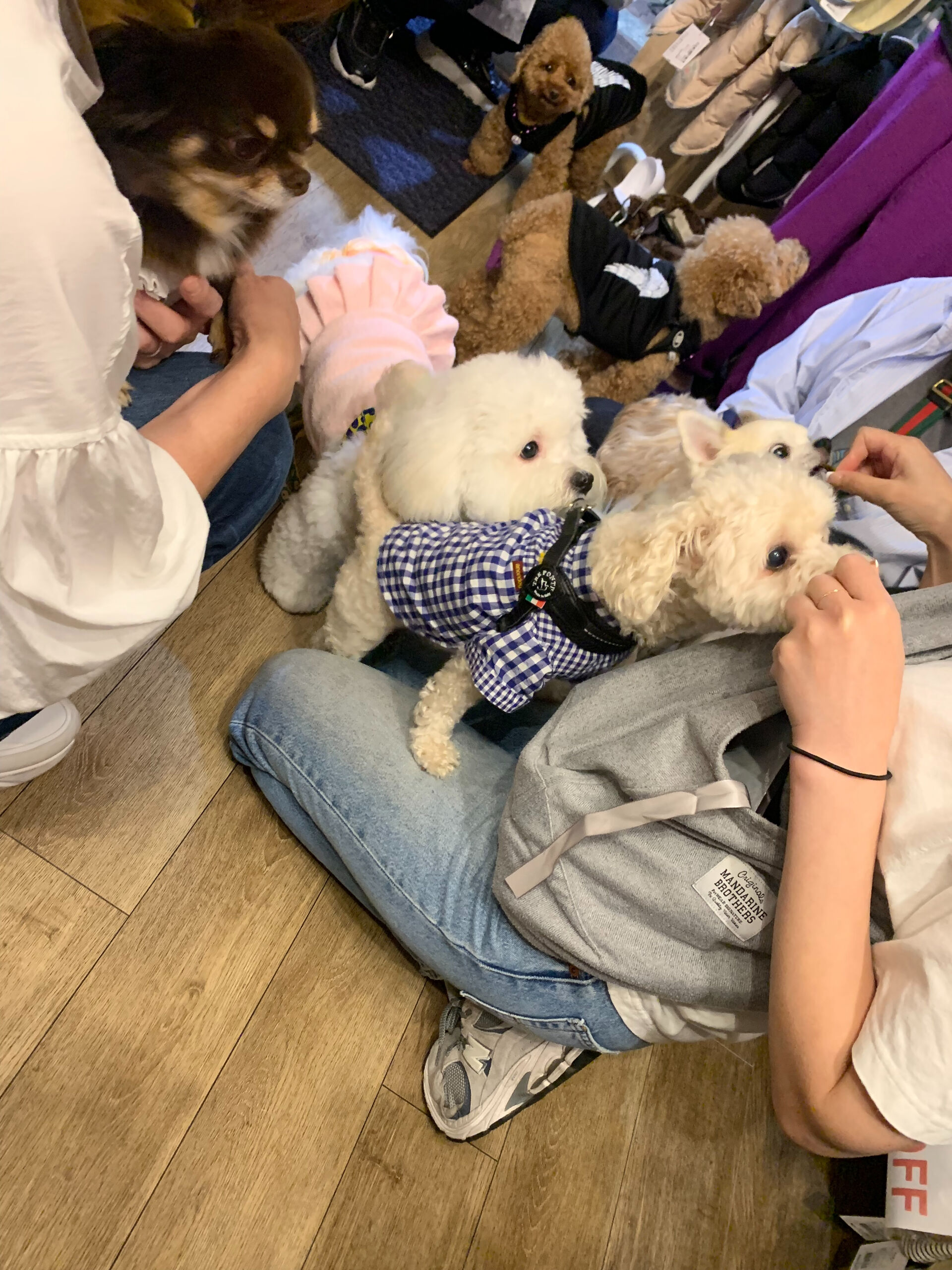ティアくん、レオくんご来店ありがとうございます😊