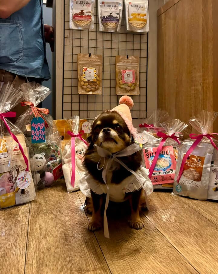 テンちゃんご来店ありがとうございます😊