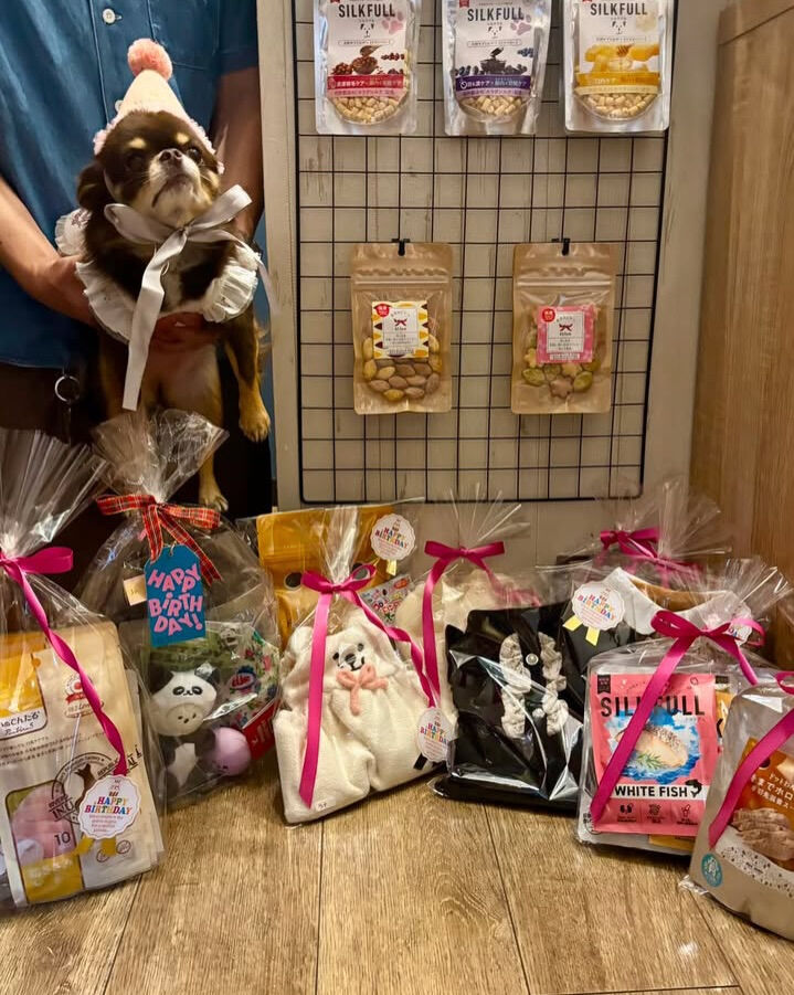 テンちゃんご来店ありがとうございます😊