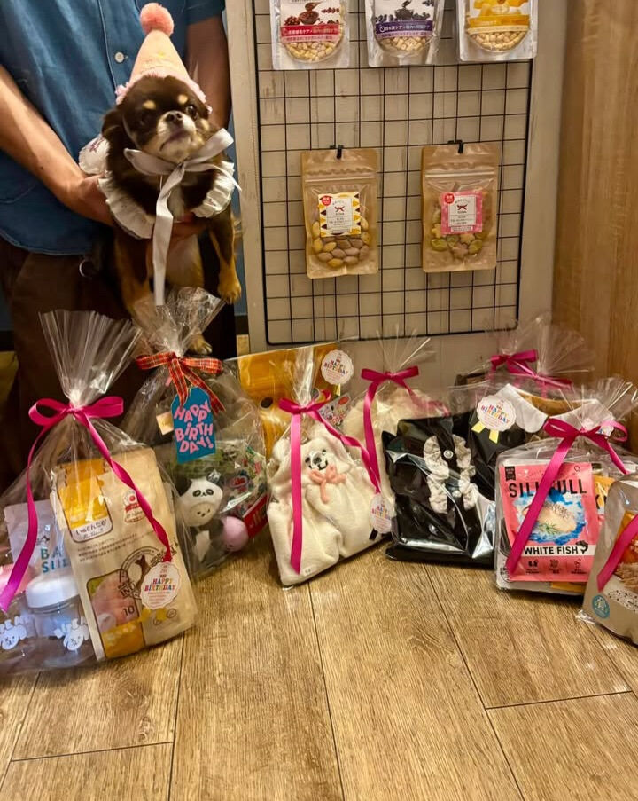 テンちゃんご来店ありがとうございます😊