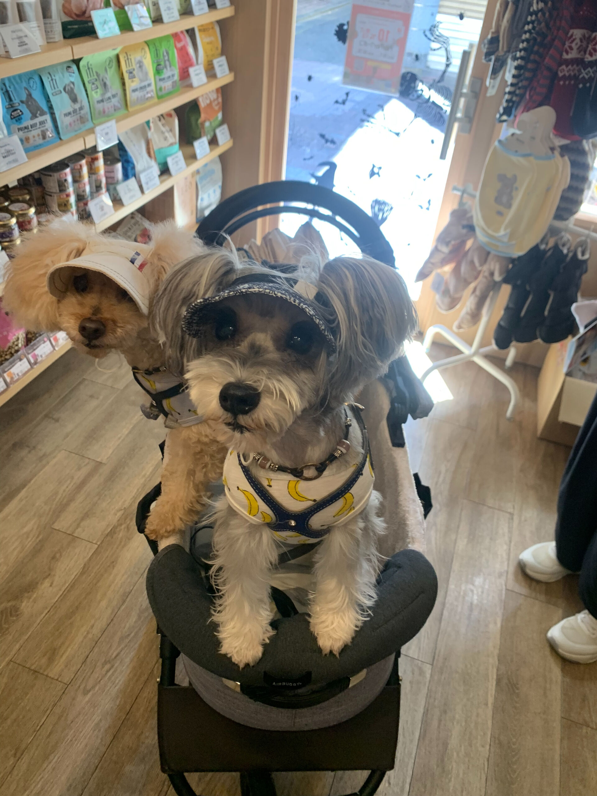 くるみちゃん、あずきちゃんご来店ありがとうございます😊
