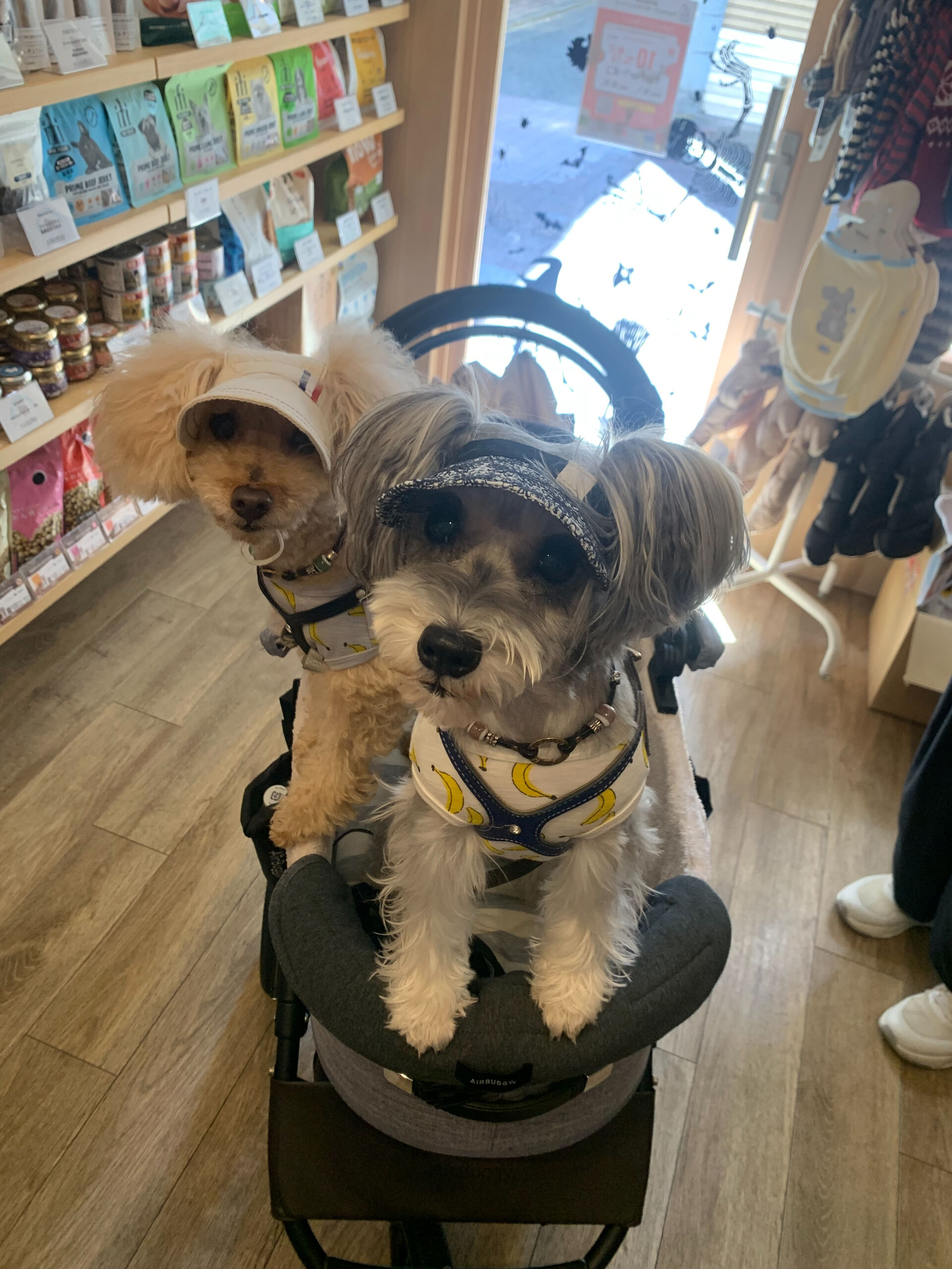 くるみちゃん、あずきちゃんご来店ありがとうございます😊