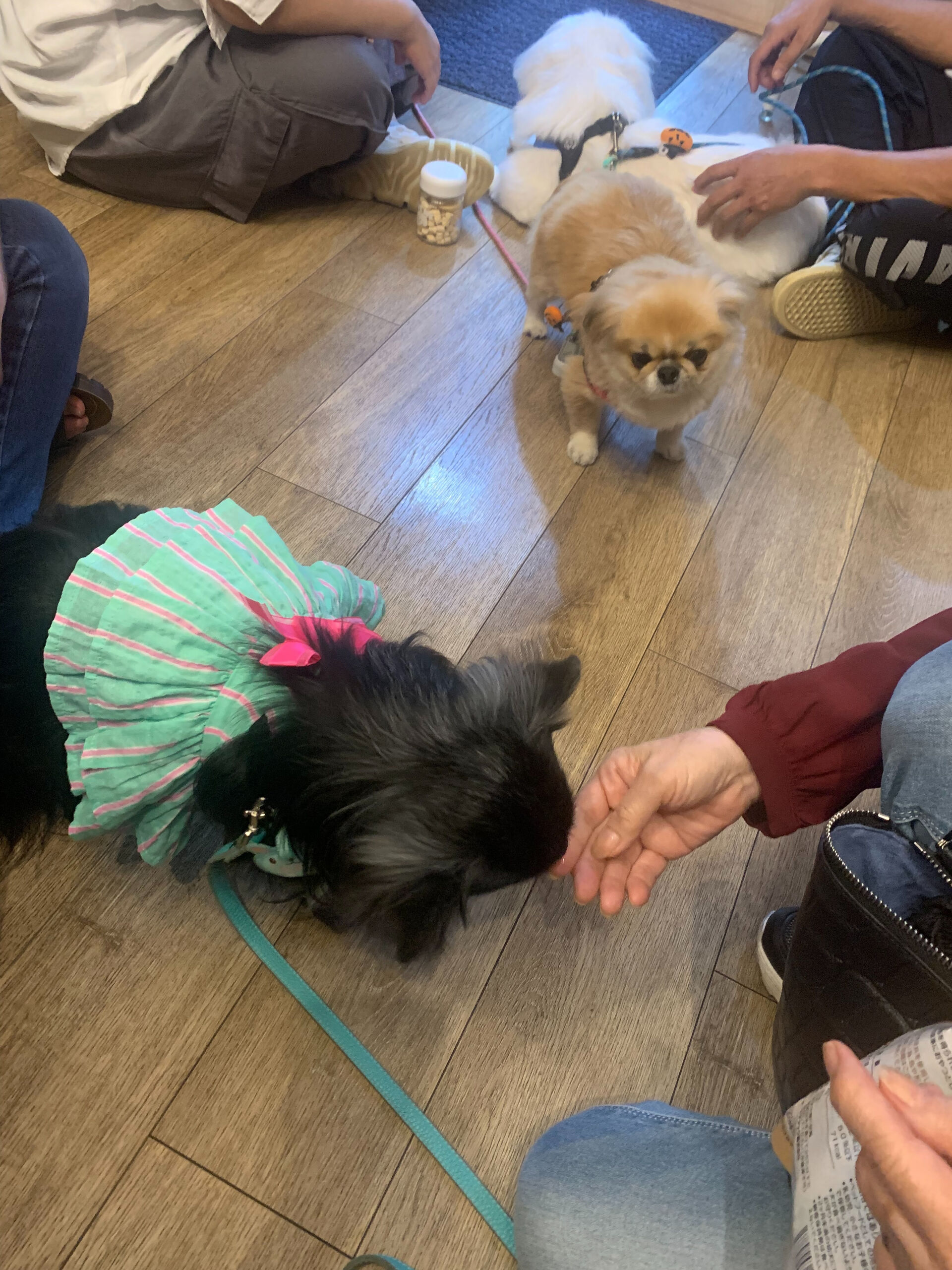 ラナちゃん、ハルくん、ナツくんご来店ありがとうございます😊