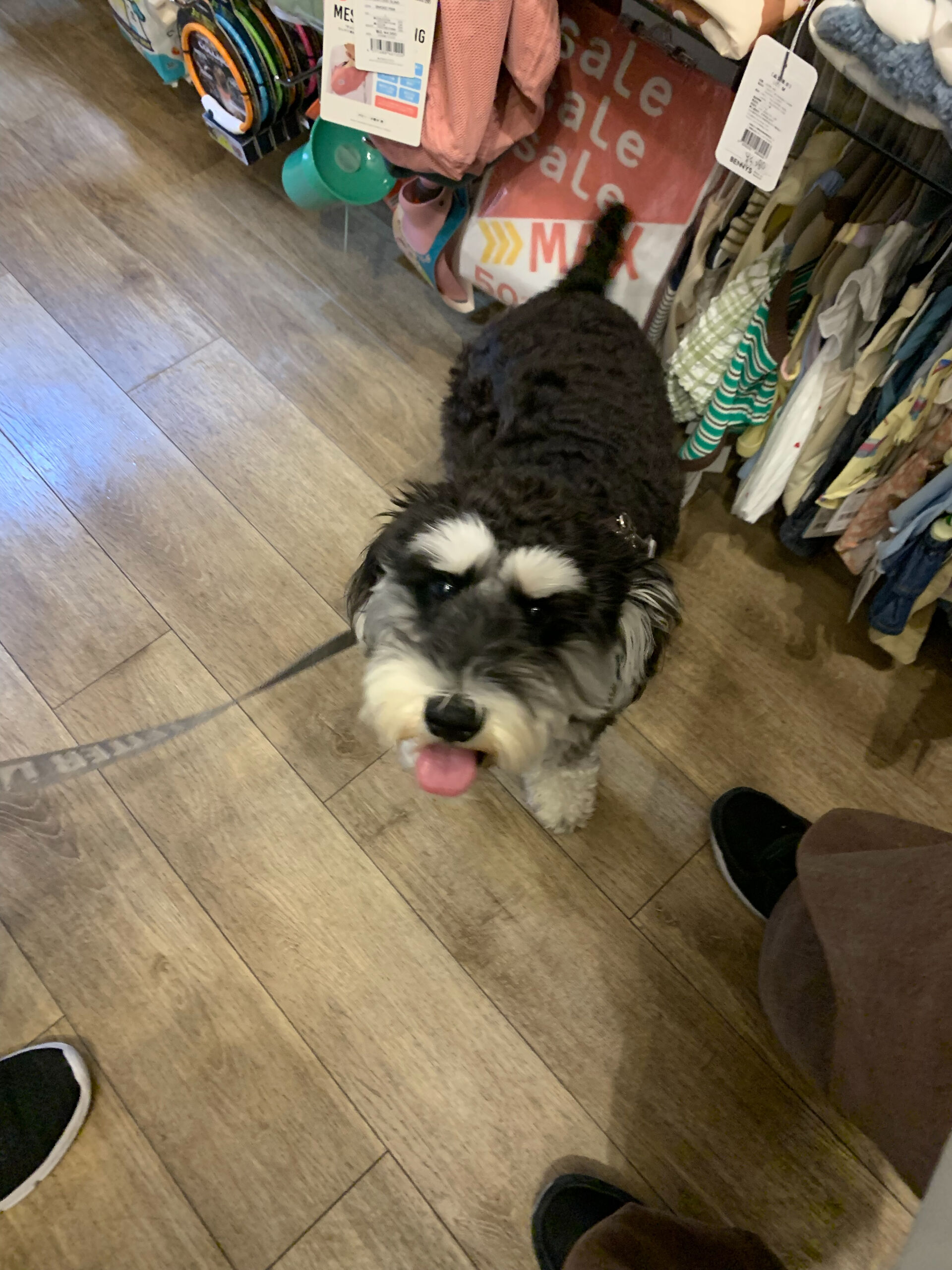 本日の大トリはソルくんでしたー🙌