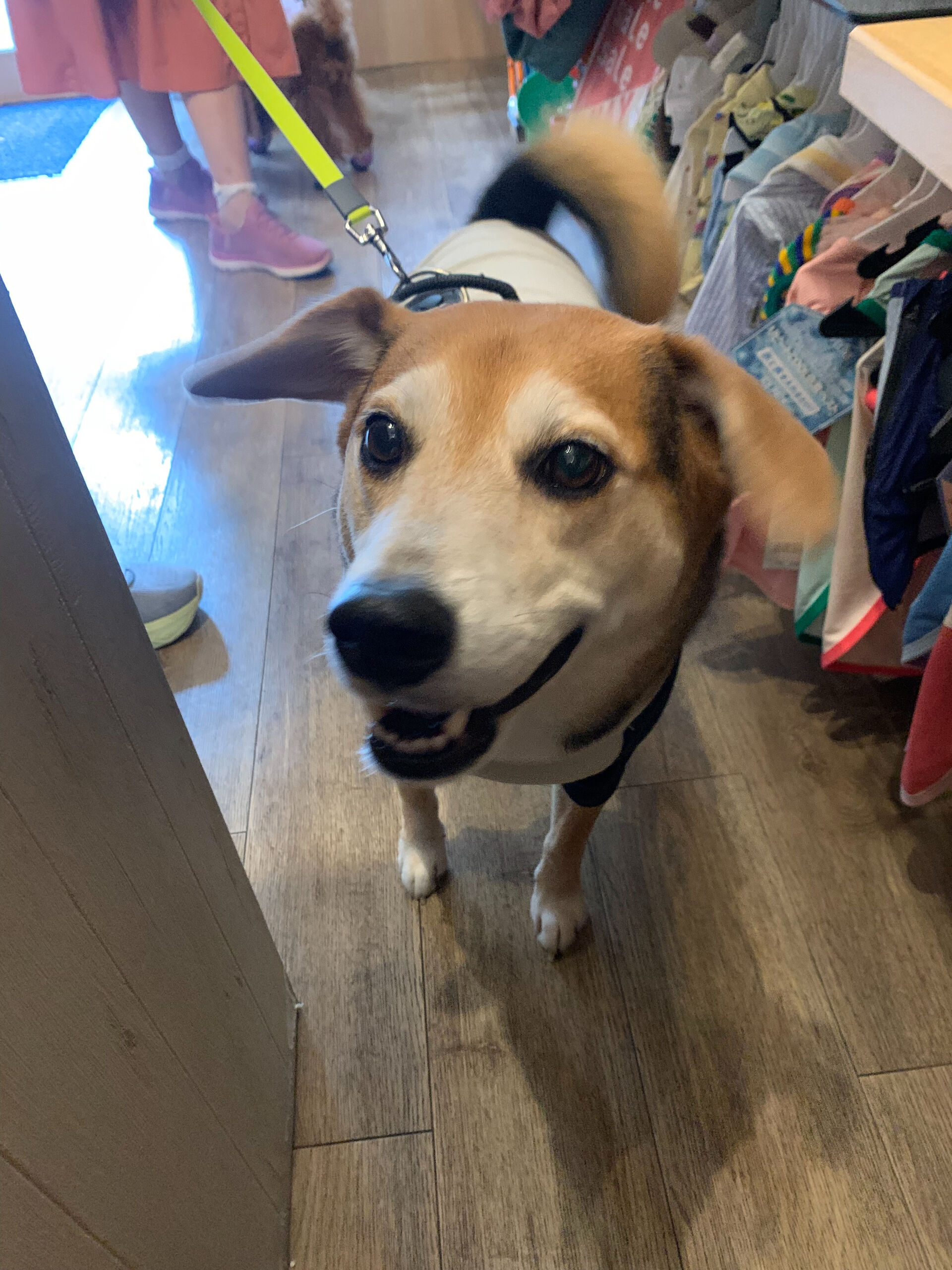 ふうたくんご来店ありがとうございます😊